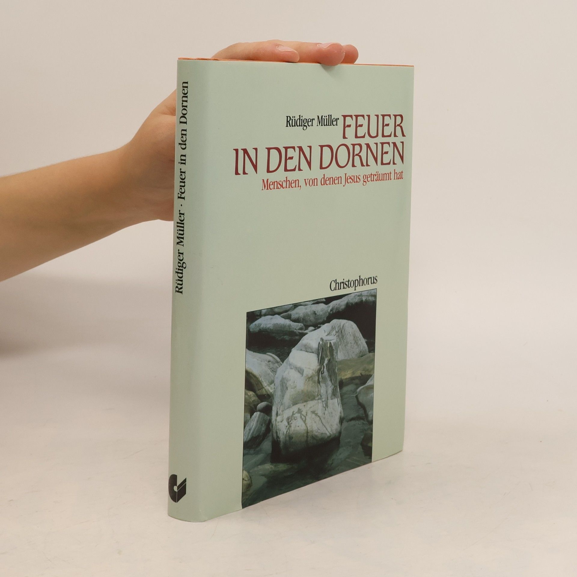 Rüdiger Müller Feuer in den Dornen