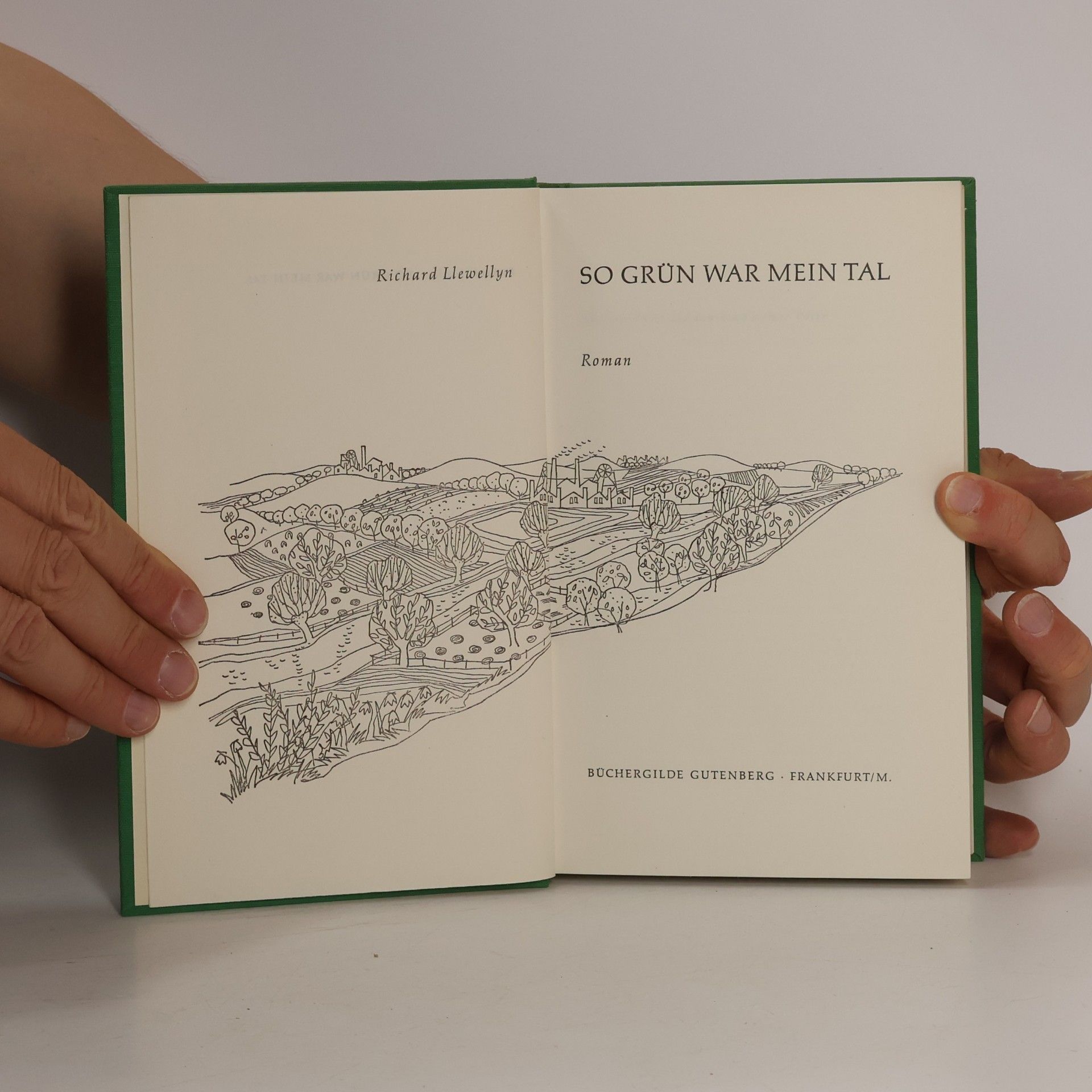 Richard Llewellyn So grün war mein Tal