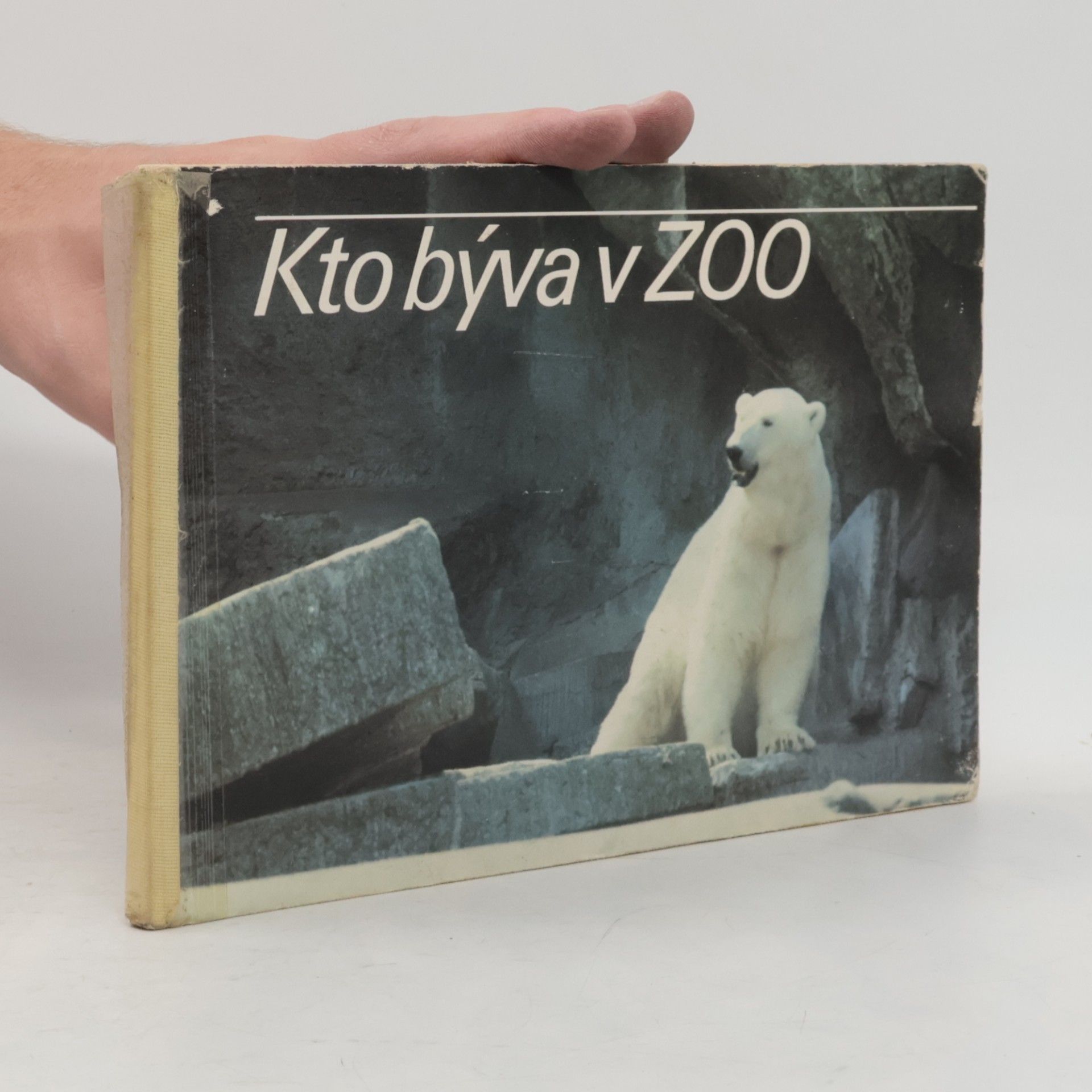 Kto býva v ZOO