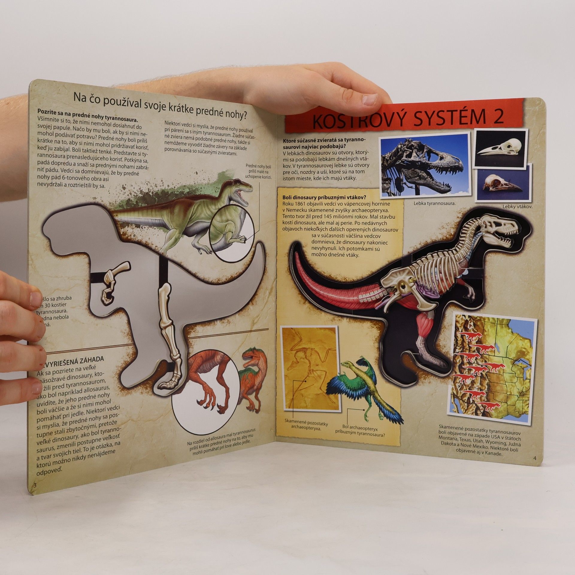 Dennis Schatz Pozrite sa do útrob dinosaura Tyrannosaura