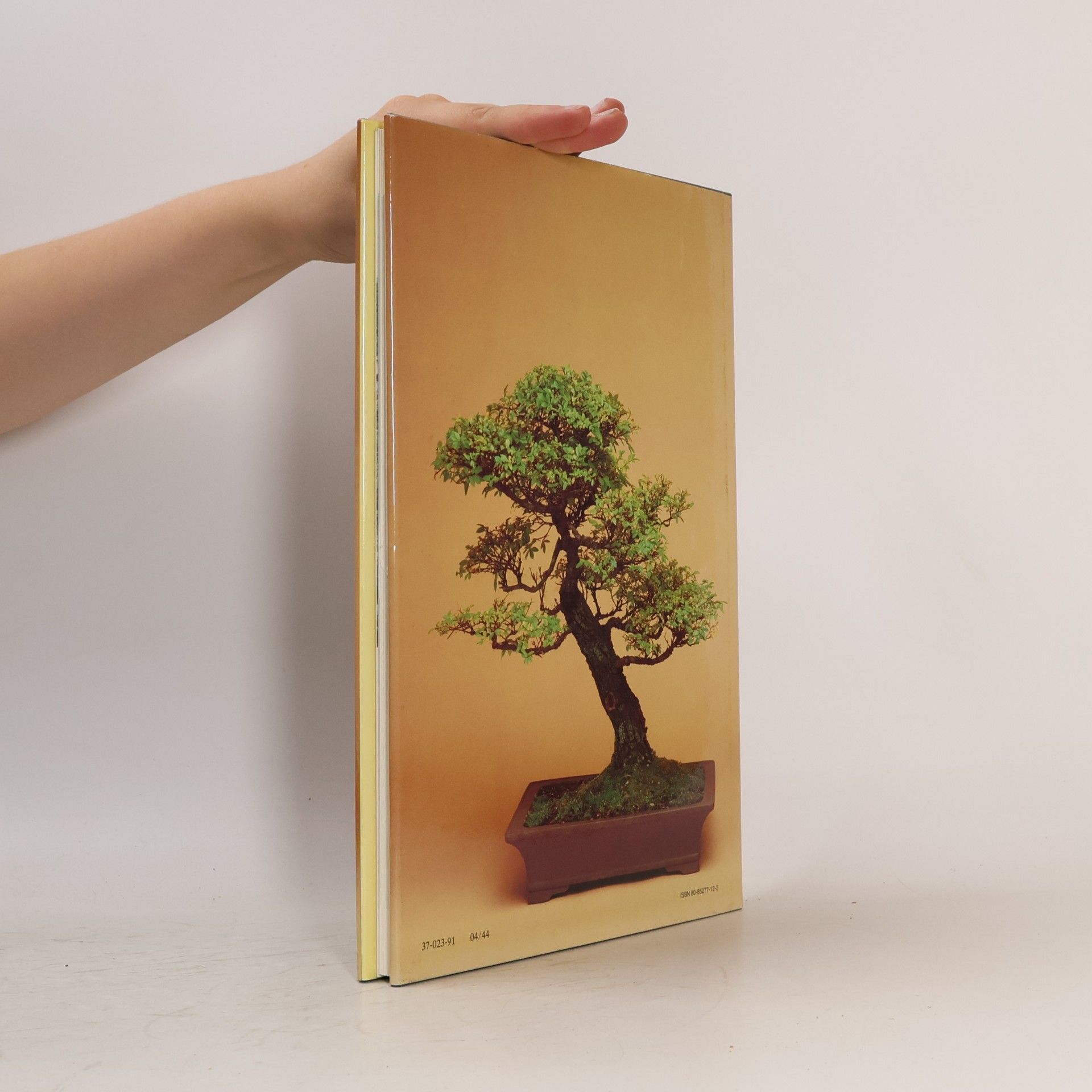 Jan Tykač Bonsai