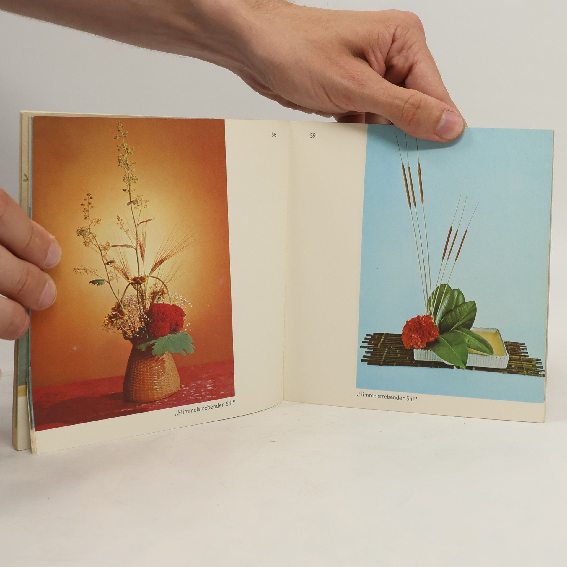 Autores varios Ikebana. Kunst-Lehrbuch