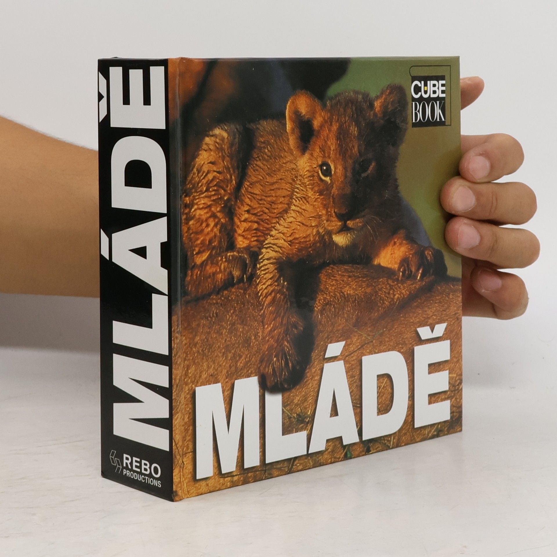 Angela S. Ildos Mládě