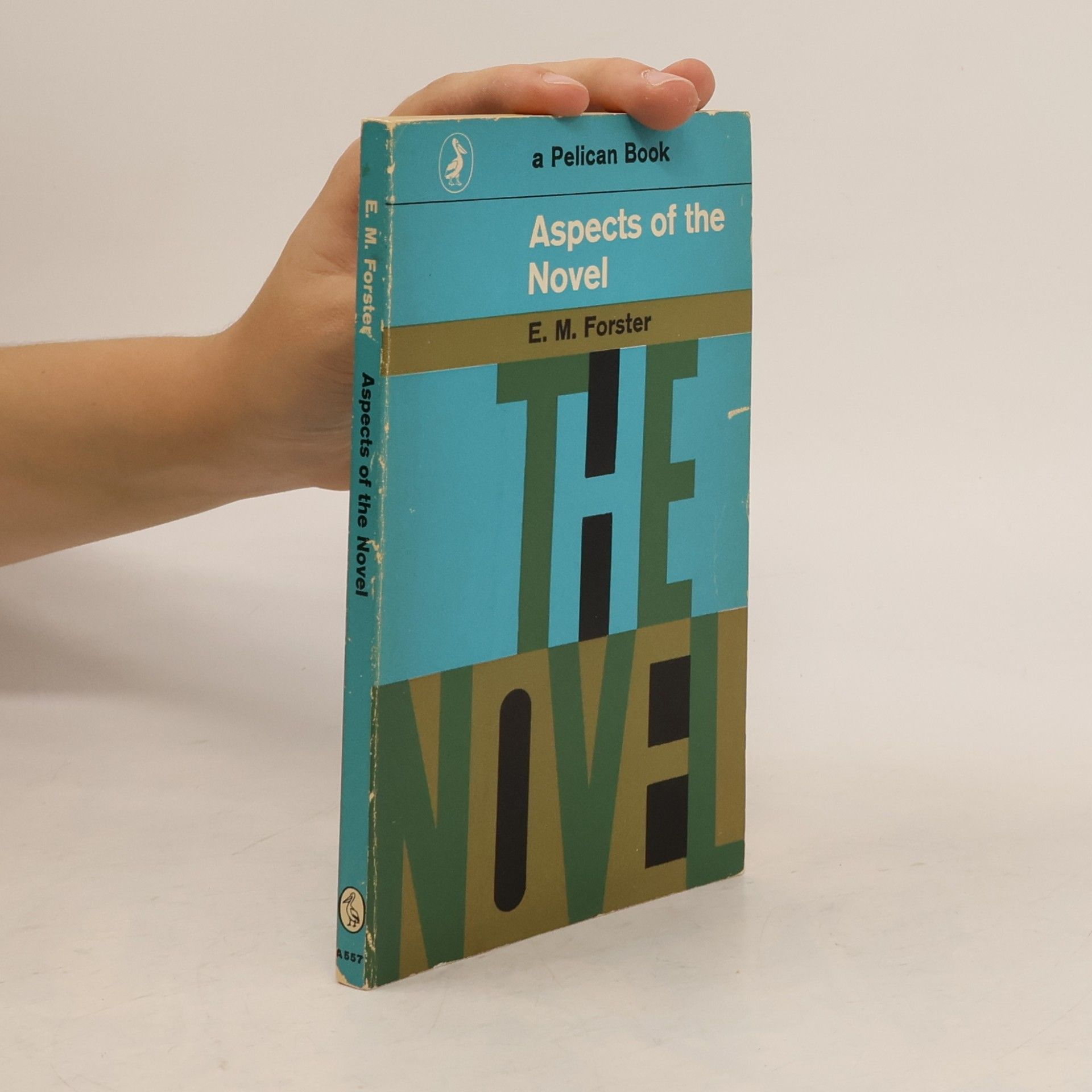 Aspects of the Novel