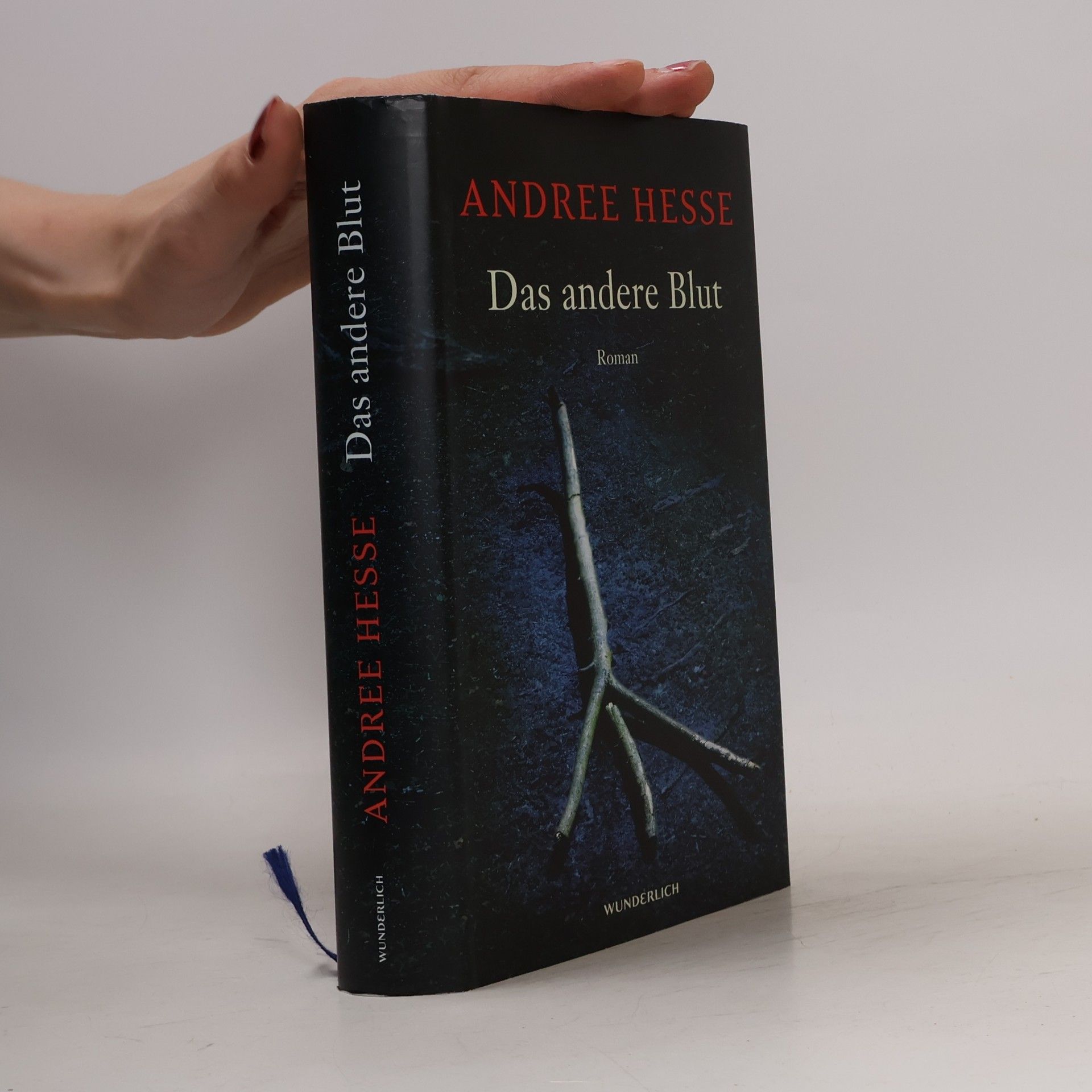 Andree Hesse Das andere Blut