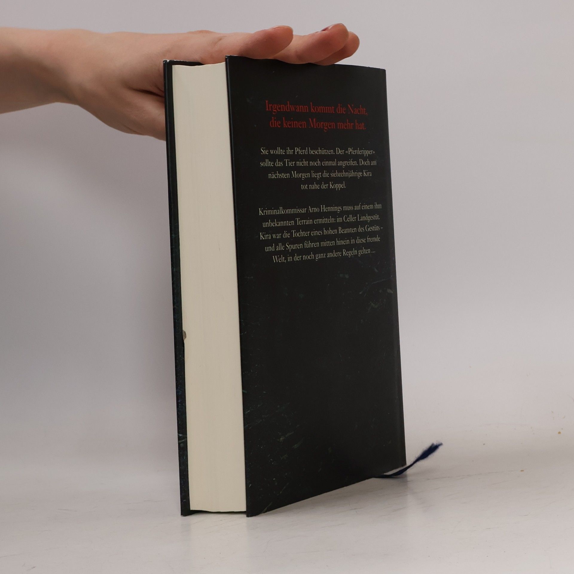Andree Hesse Das andere Blut