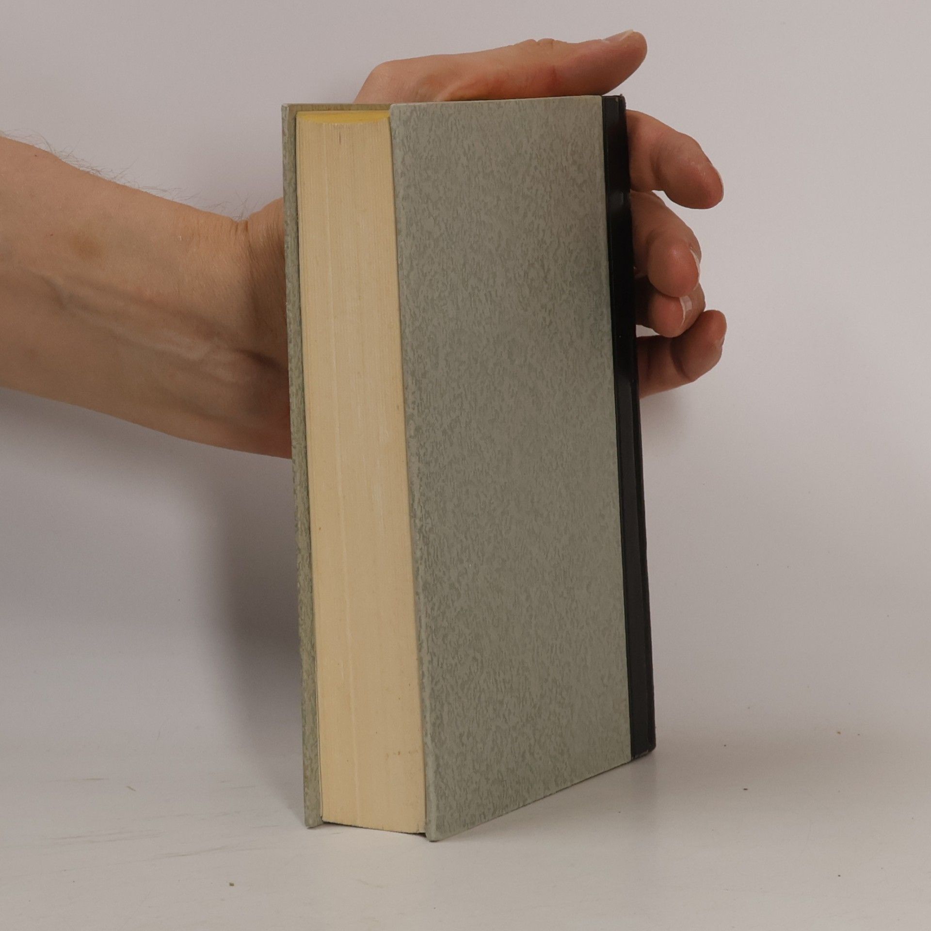 Autorenkollektiv Das Antlitz ohne Gnade
