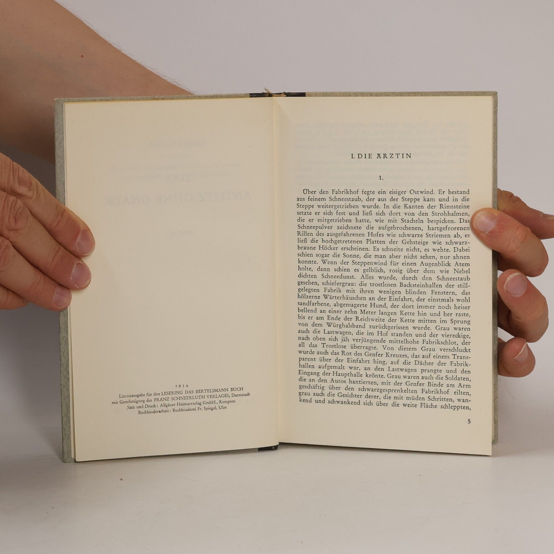 Autorenkollektiv Das Antlitz ohne Gnade