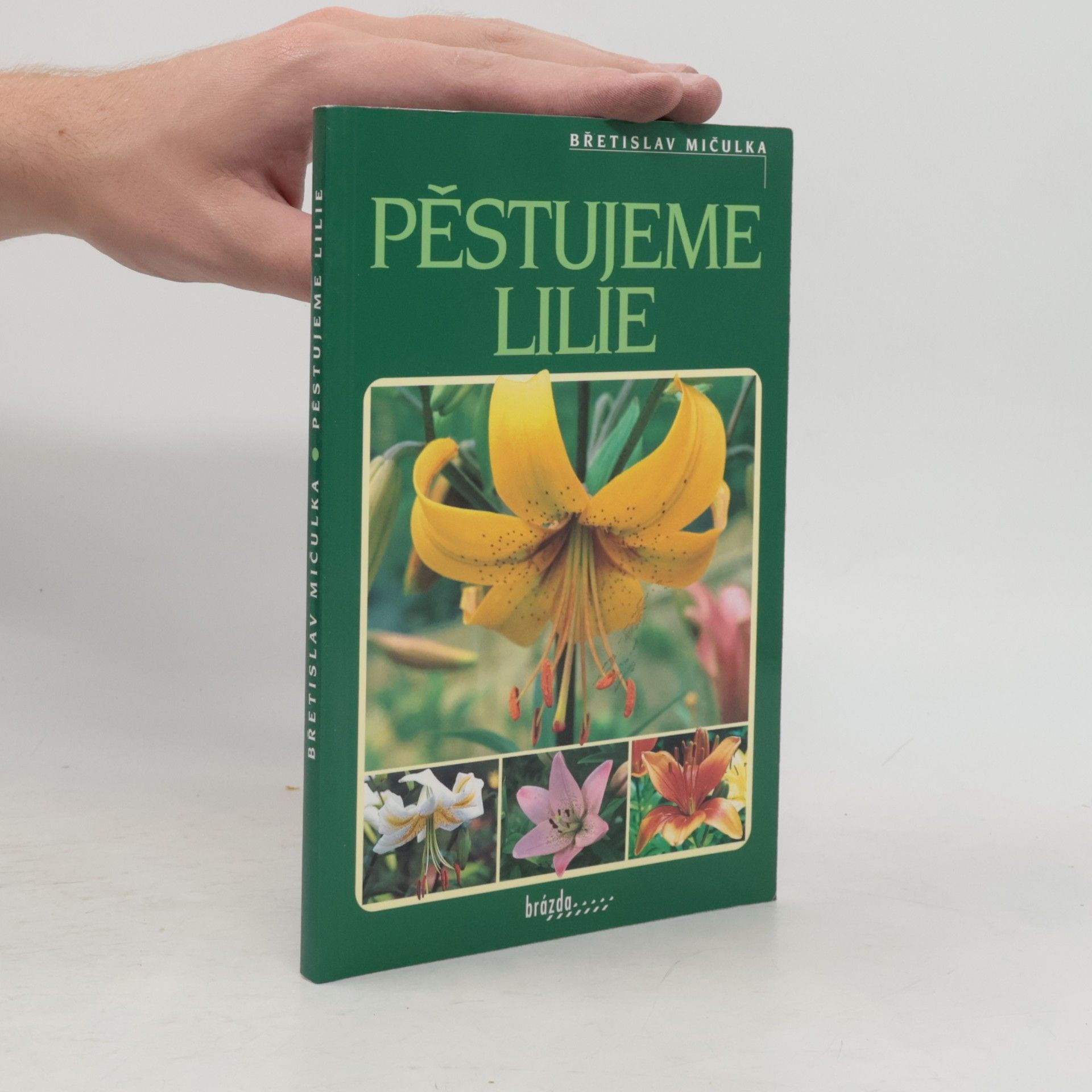 Břetislav Mičulka Pěstujeme lilie