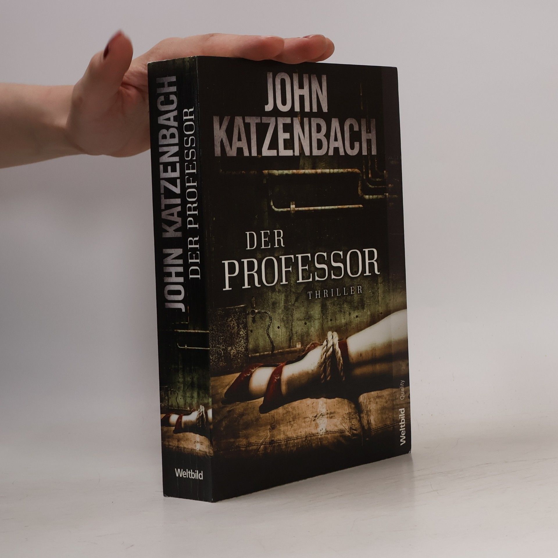 John Katzenbach Der Professor