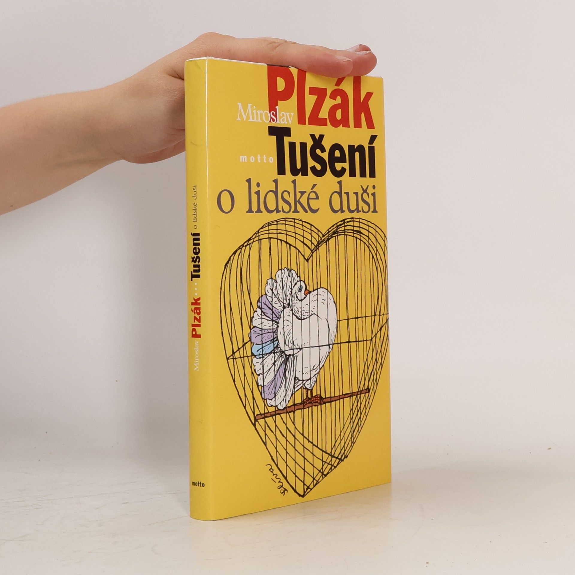 Miroslav Plzák Tušení o lidské duši