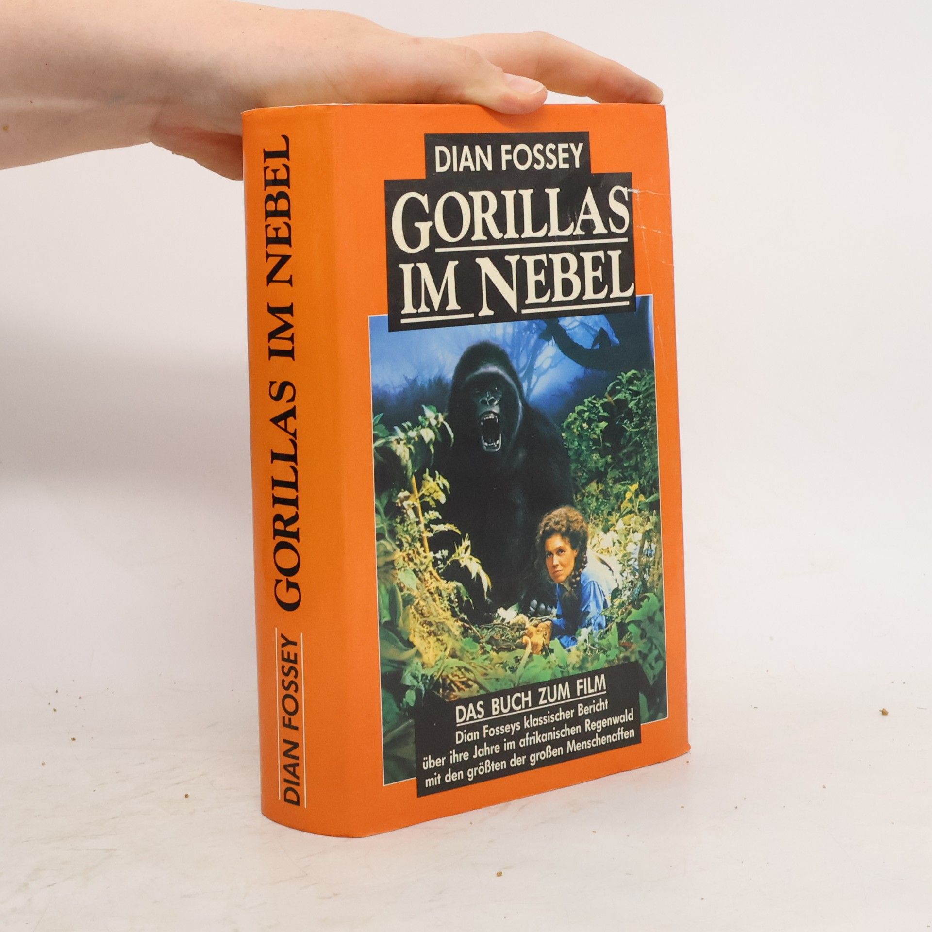 Dian Fossey Gorillas im Nebel