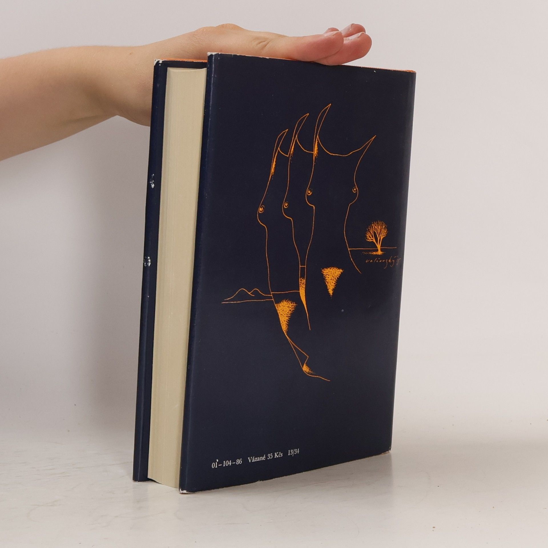Kolektiv autorů Almanach Světové literatury