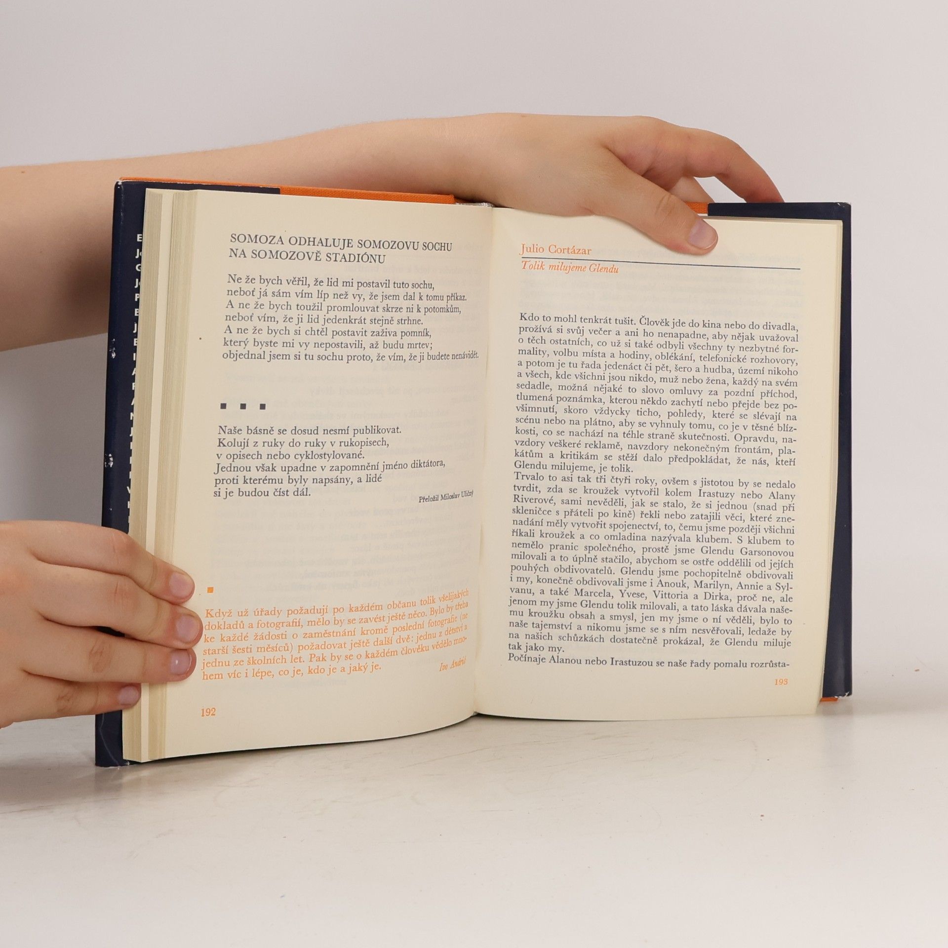 Kolektiv autorů Almanach Světové literatury