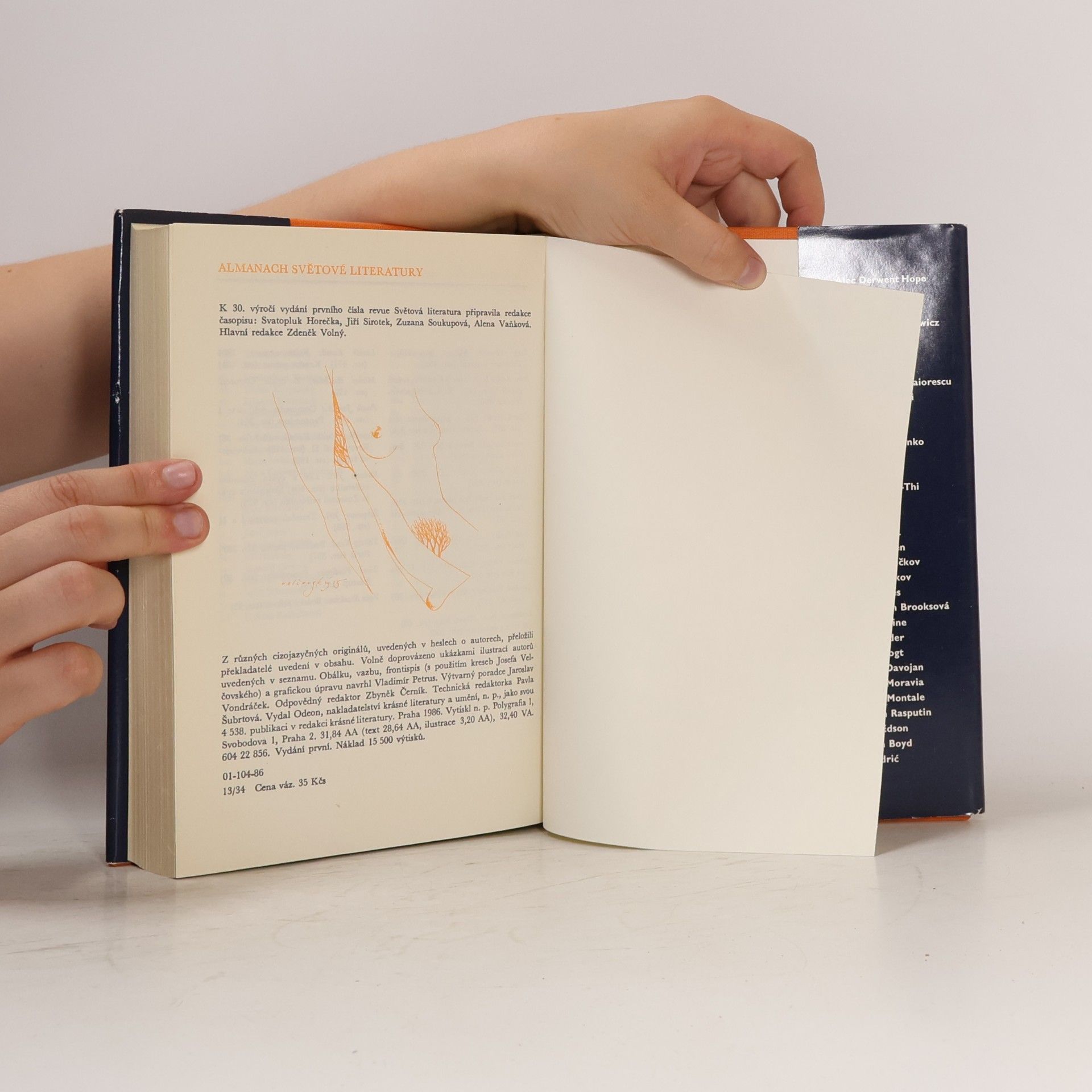 Kolektiv autorů Almanach Světové literatury