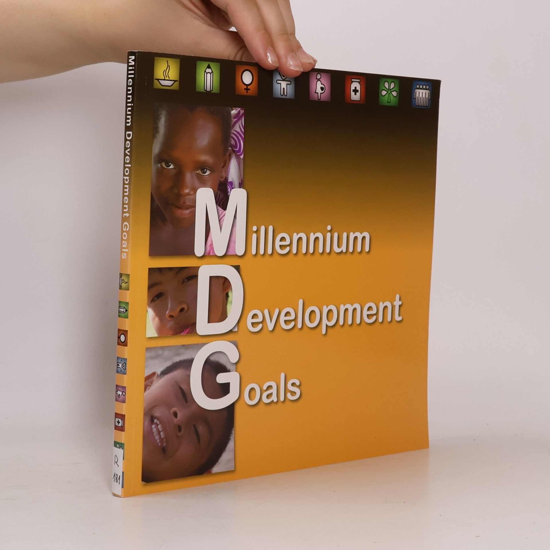 Autorenkollektiv Millennium Development Goals