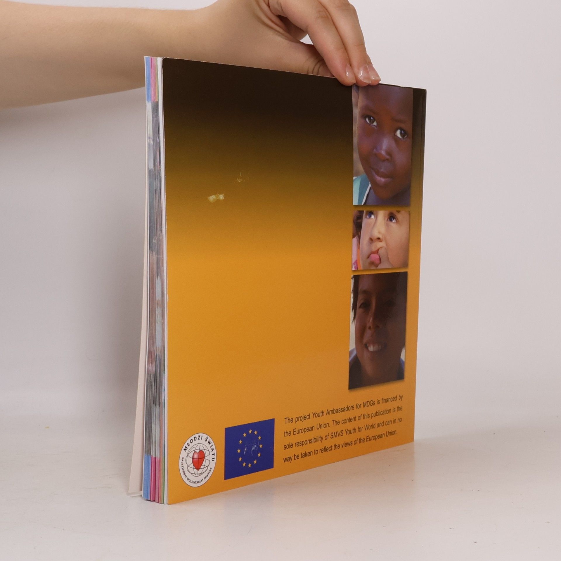 Autorenkollektiv Millennium Development Goals