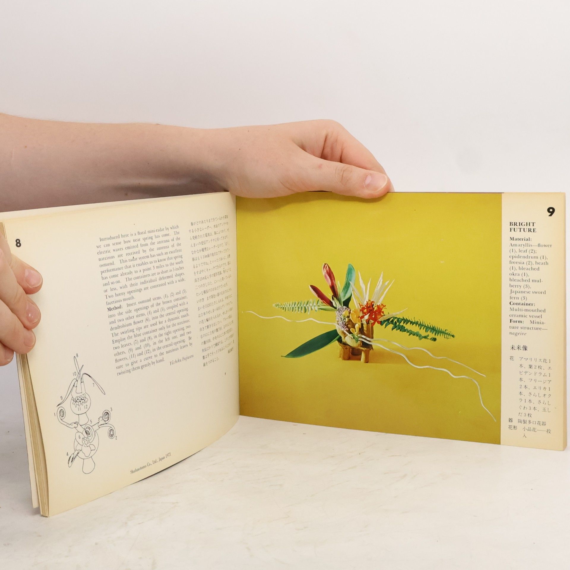 Yuchiku Fujiwara Ikebana Card Book. Ikenobo Free Style 2