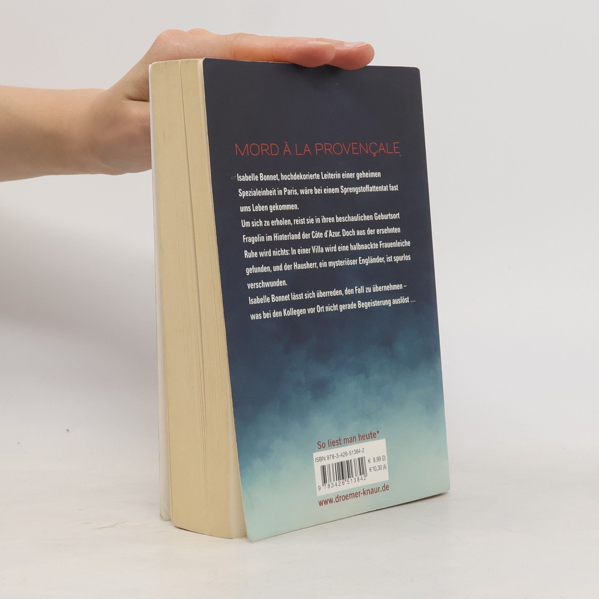 Pierre Martin Madame le Commissaire und der verschwundene Engländer