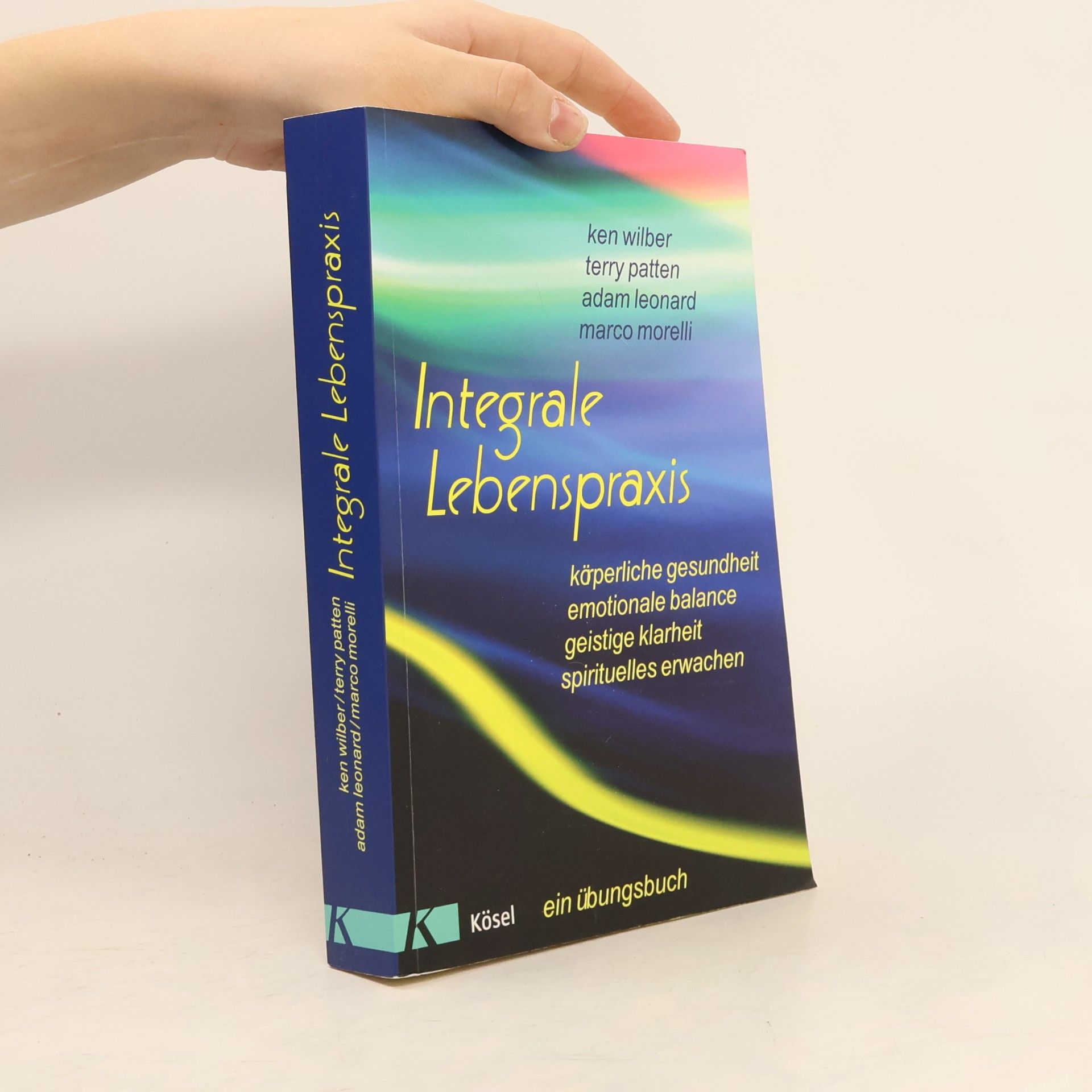 Ken Wilber Integrale Lebenspraxis
