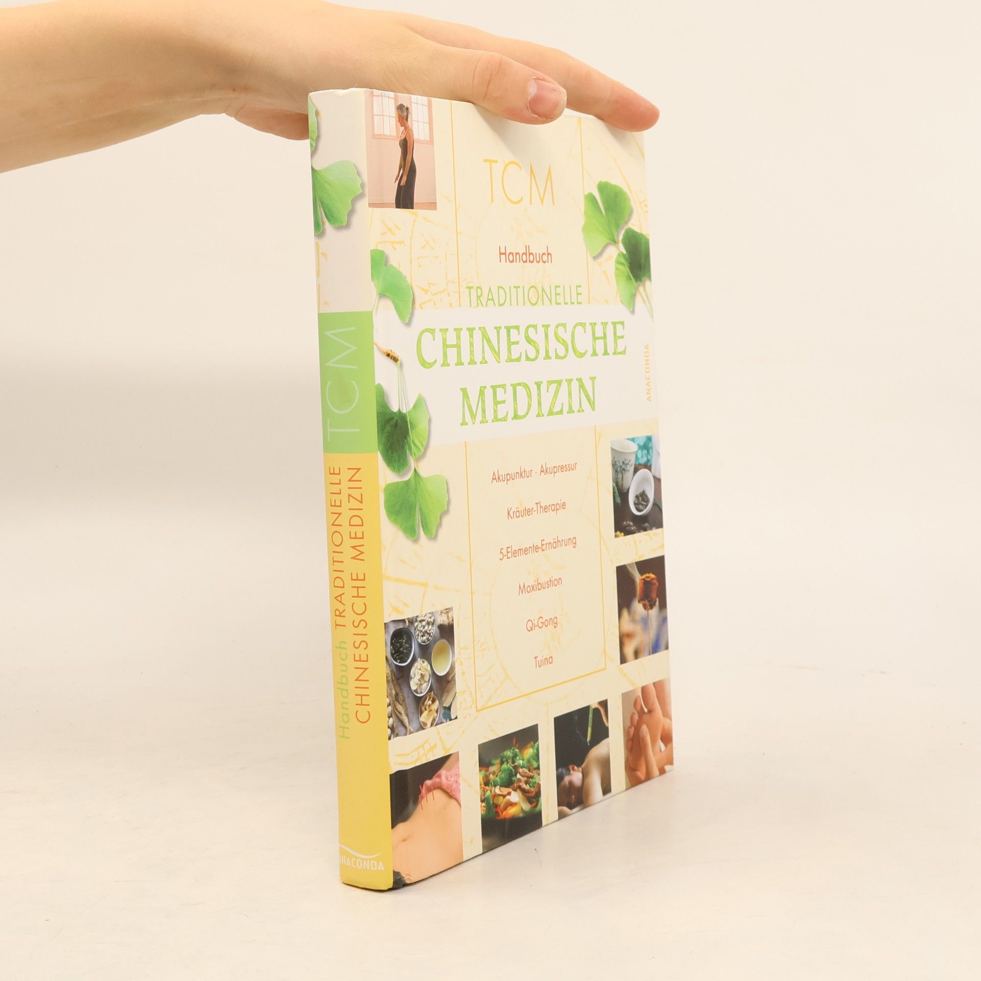 Hans-Ulrich Hecker Handbuch traditionelle chinesische Medizin