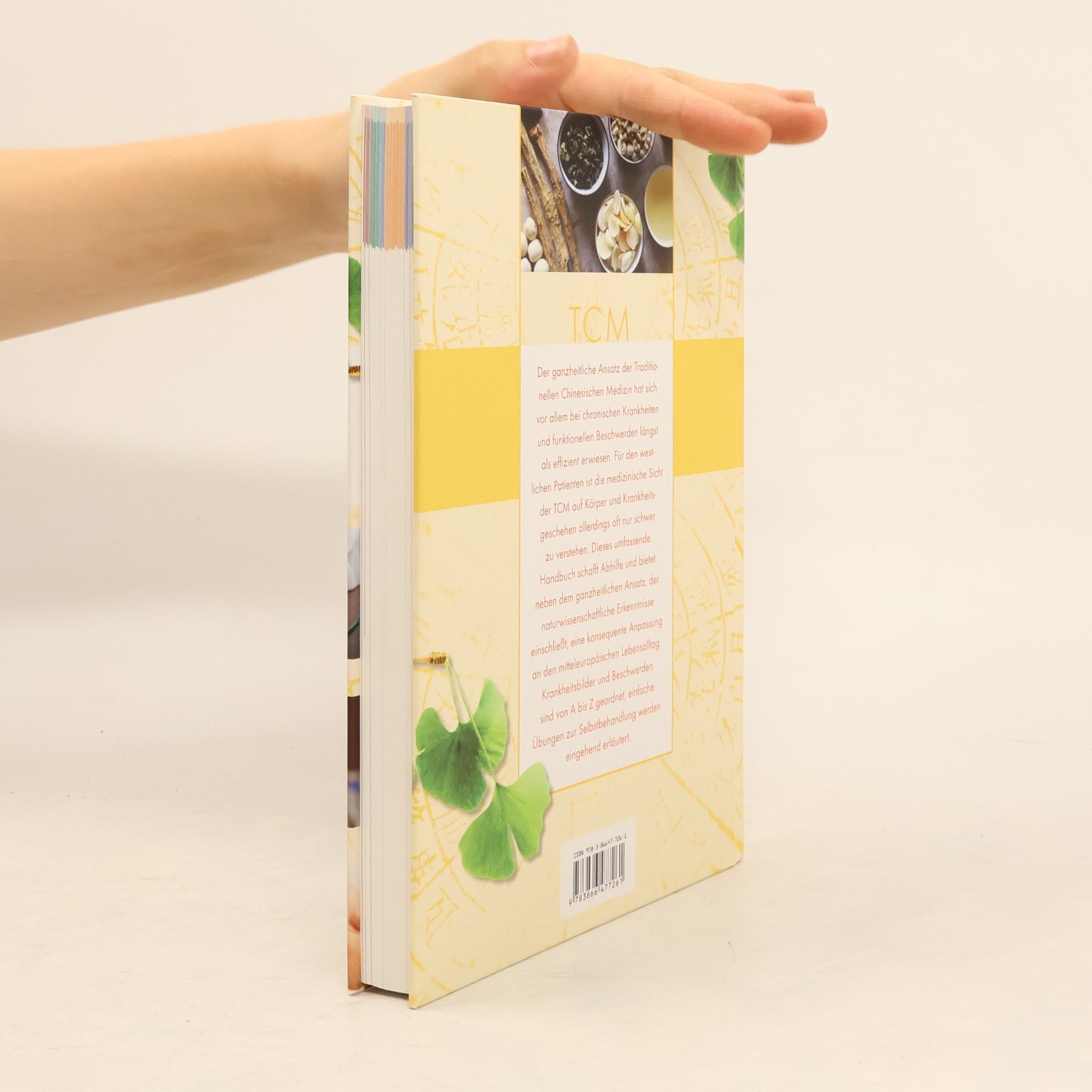 Hans-Ulrich Hecker Handbuch traditionelle chinesische Medizin