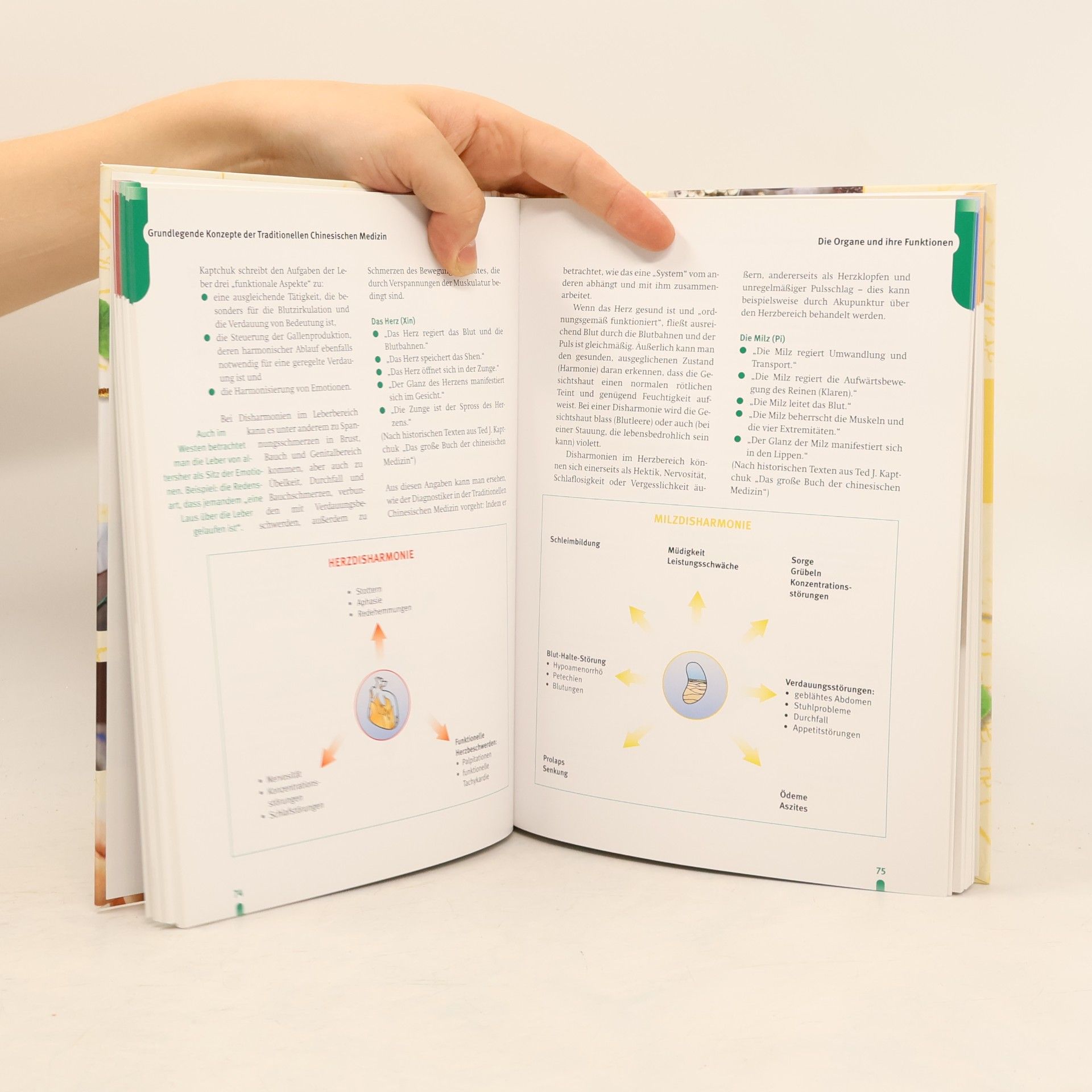 Hans-Ulrich Hecker Handbuch traditionelle chinesische Medizin
