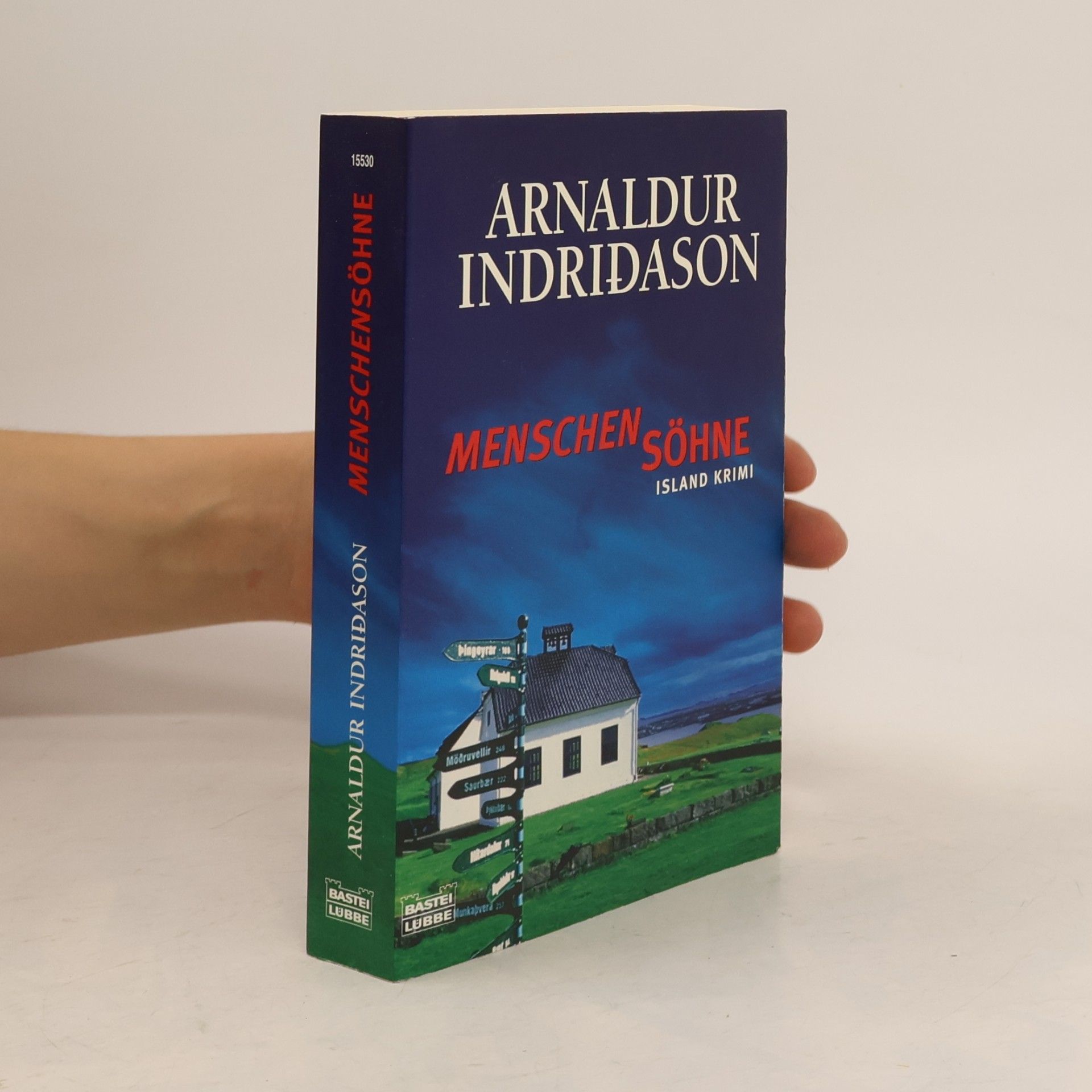 Arnaldur Indriðason Menschensöhne