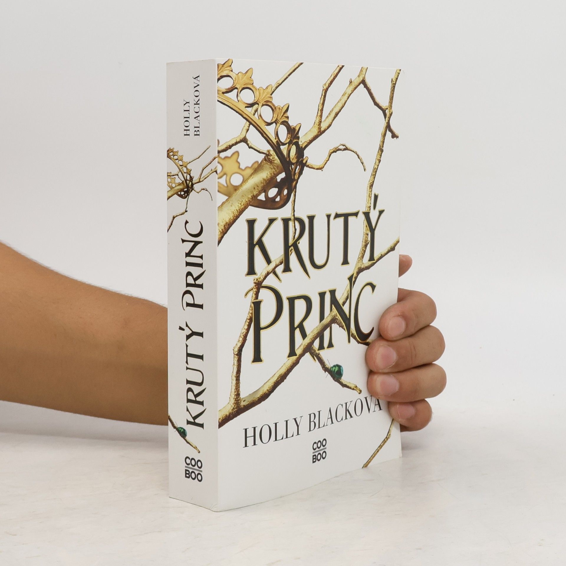 Holly Black Krutý princ