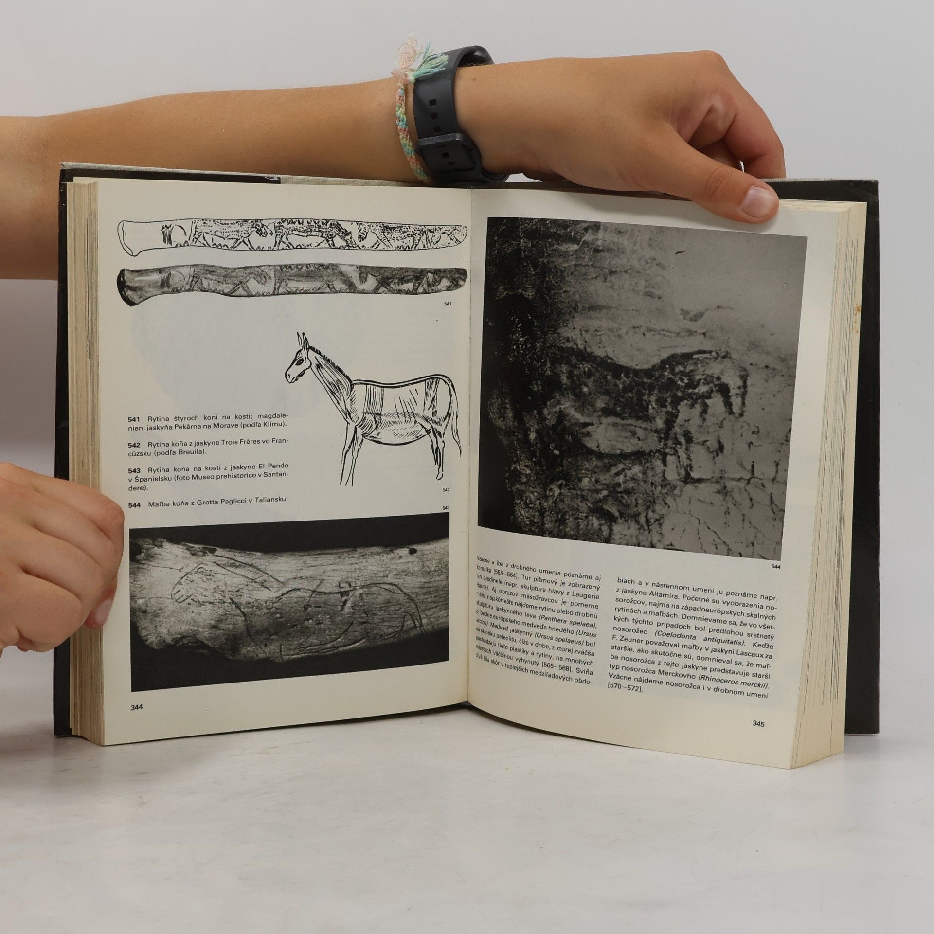 Jan Jelínek Veľký obrazový atlas pravekého človeka