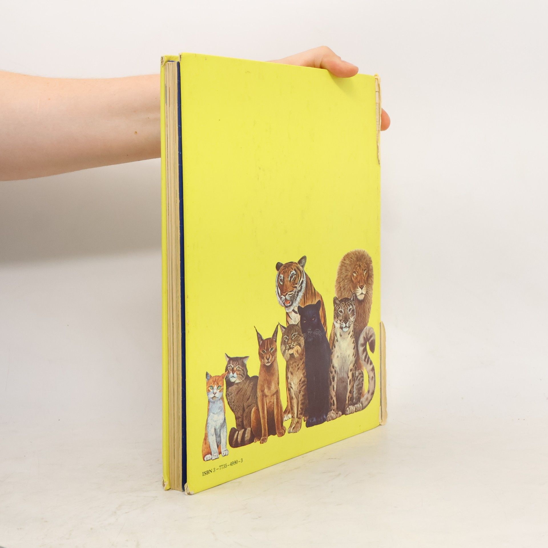 Das große Delphin-Buch. Tatsachen über Tiere