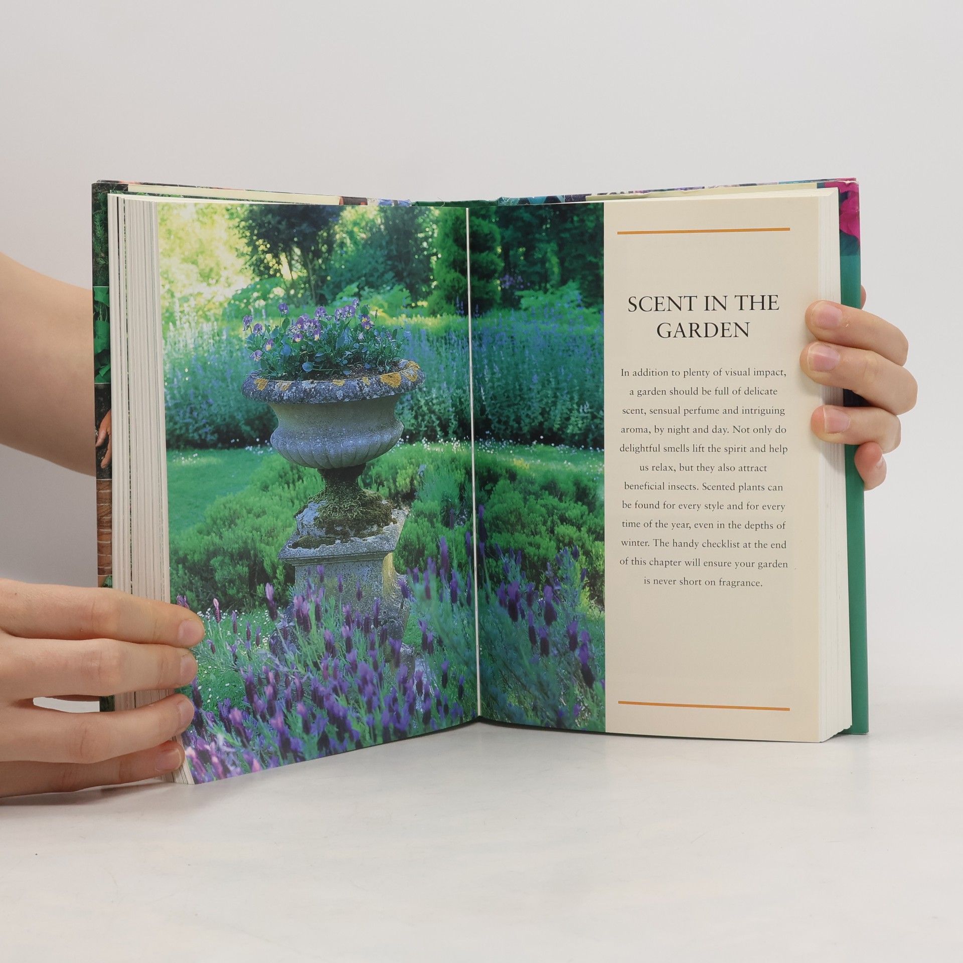 Jackie Matthews The Handbook of Gardening