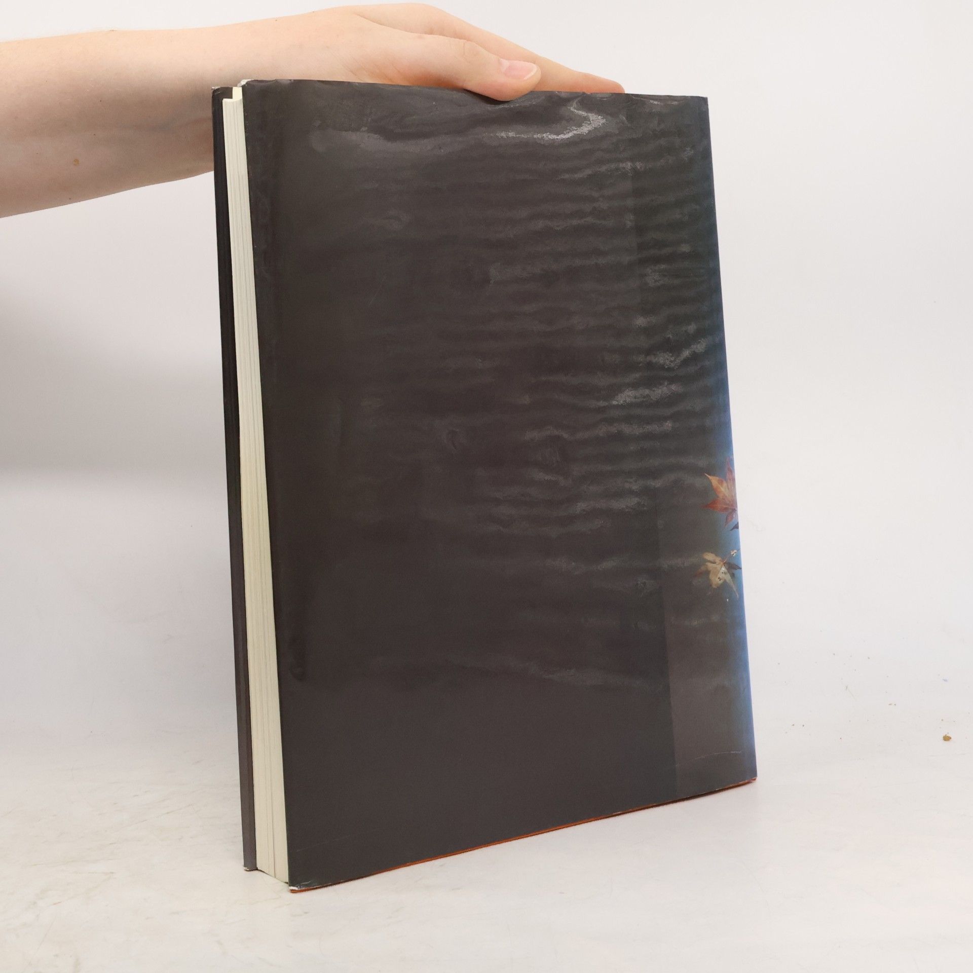 Ayako Graefe Das Ikebana-Buch