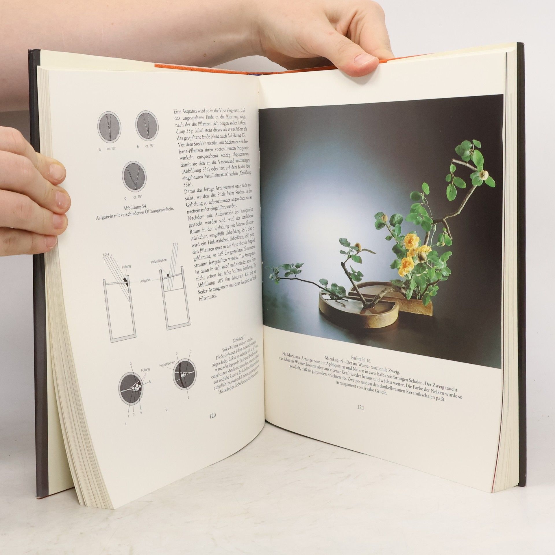 Ayako Graefe Das Ikebana-Buch