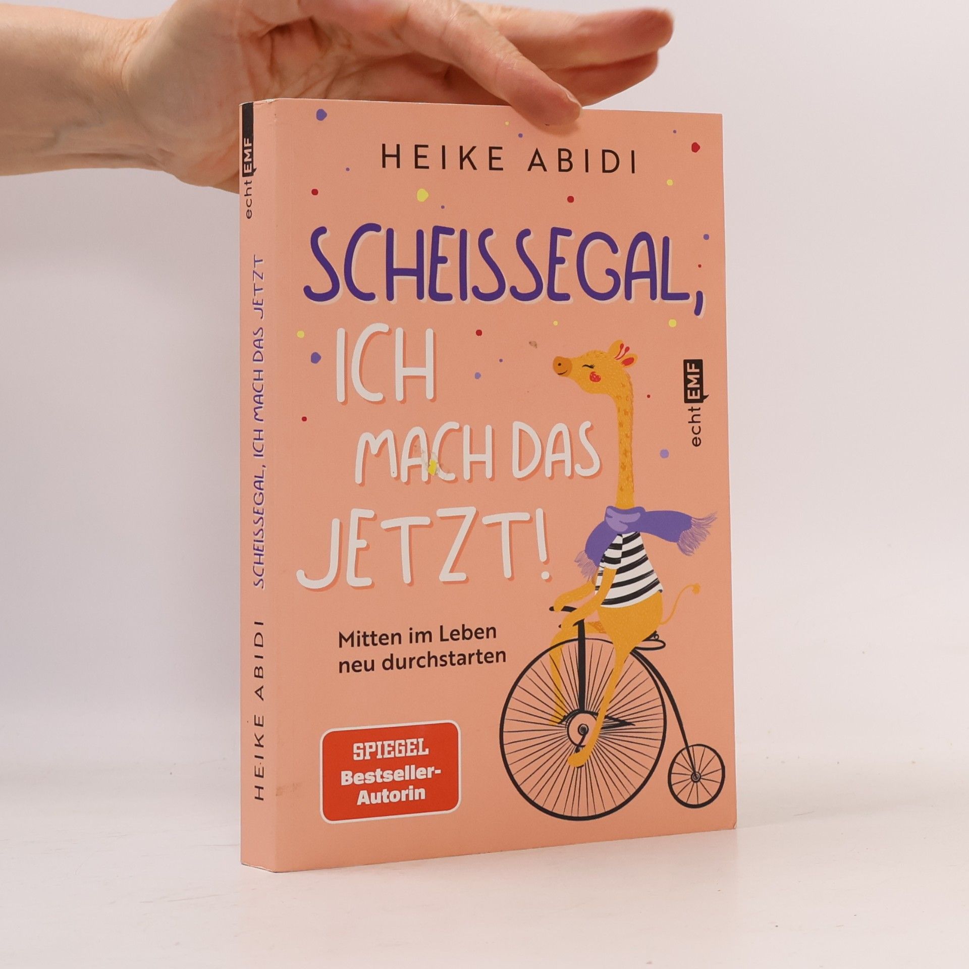 Heike Abidi Scheißegal, ich mach das jetzt!
