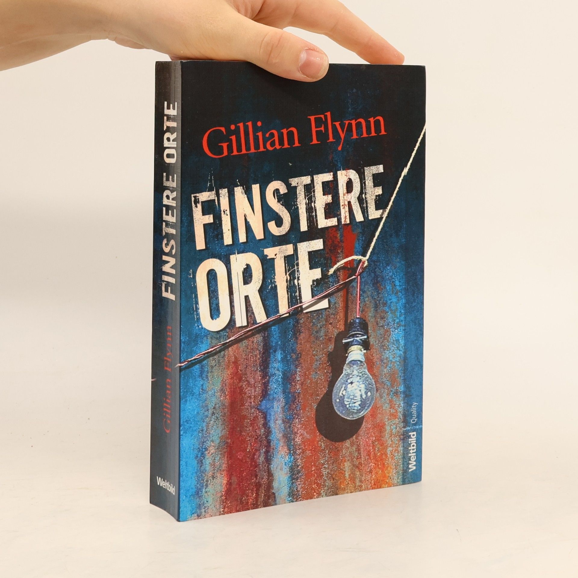 Gillian Flynn Finstere Orte