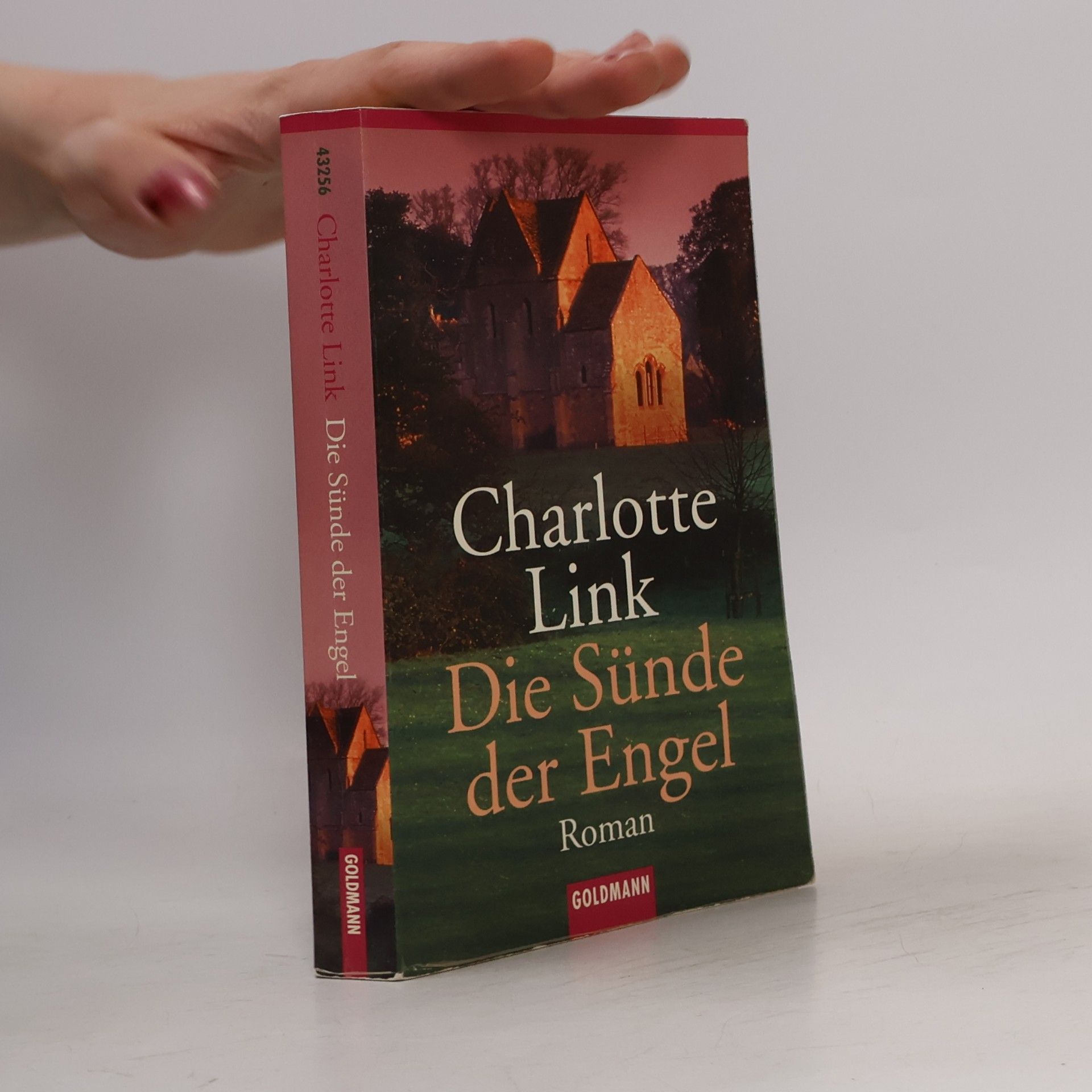 Charlotte Link Die Sünde der Engel
