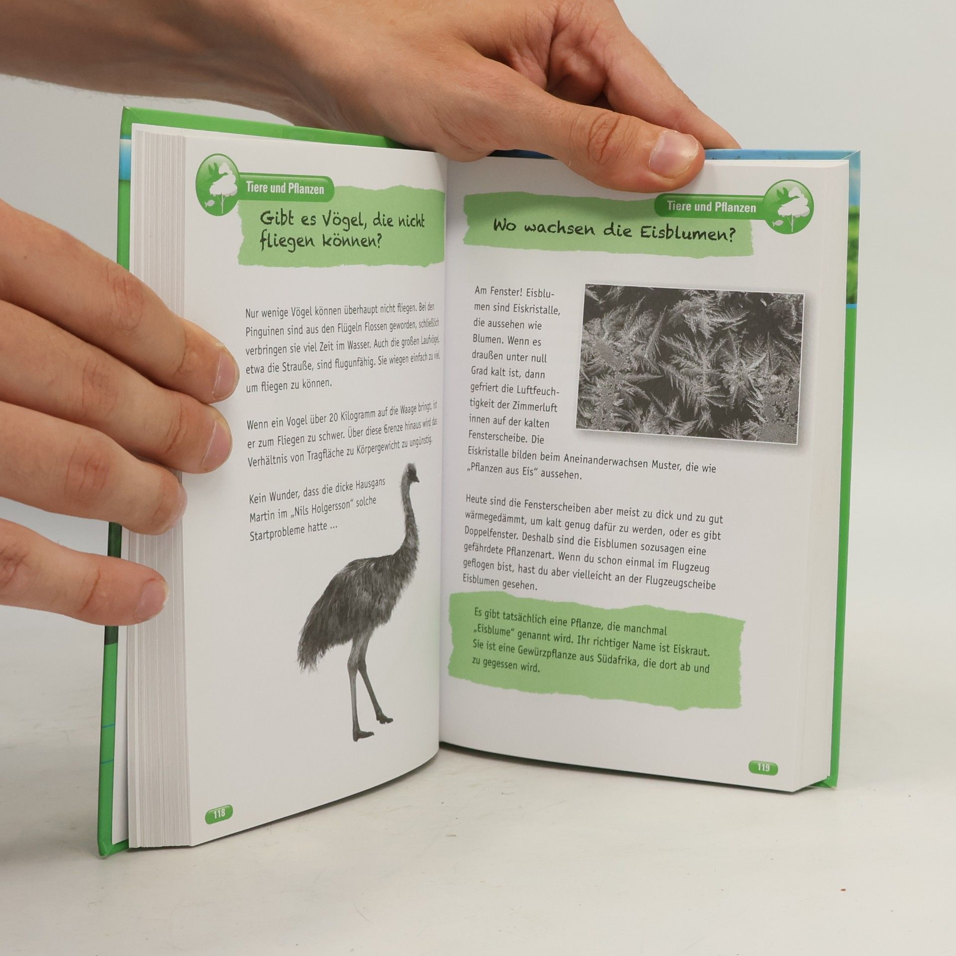 Autores varios Wissen macht schlau! Kinderwissen zum Mitreden