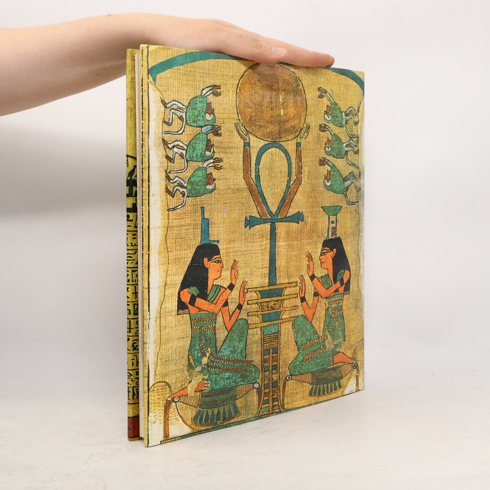 Autorenkollektiv Die ägyptischen Totenbücher
