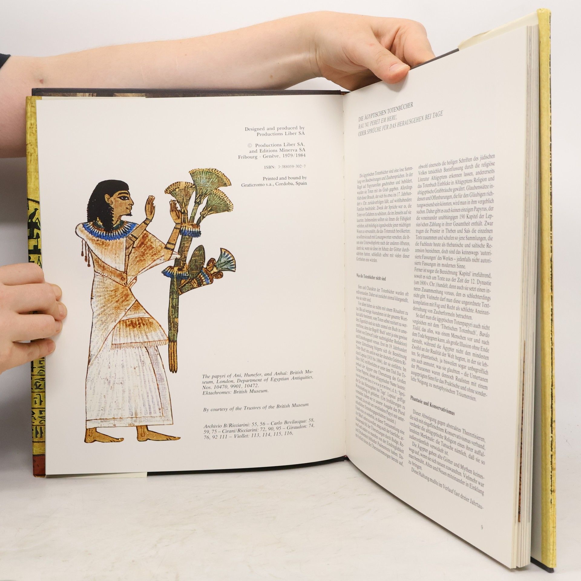 Autorenkollektiv Die ägyptischen Totenbücher