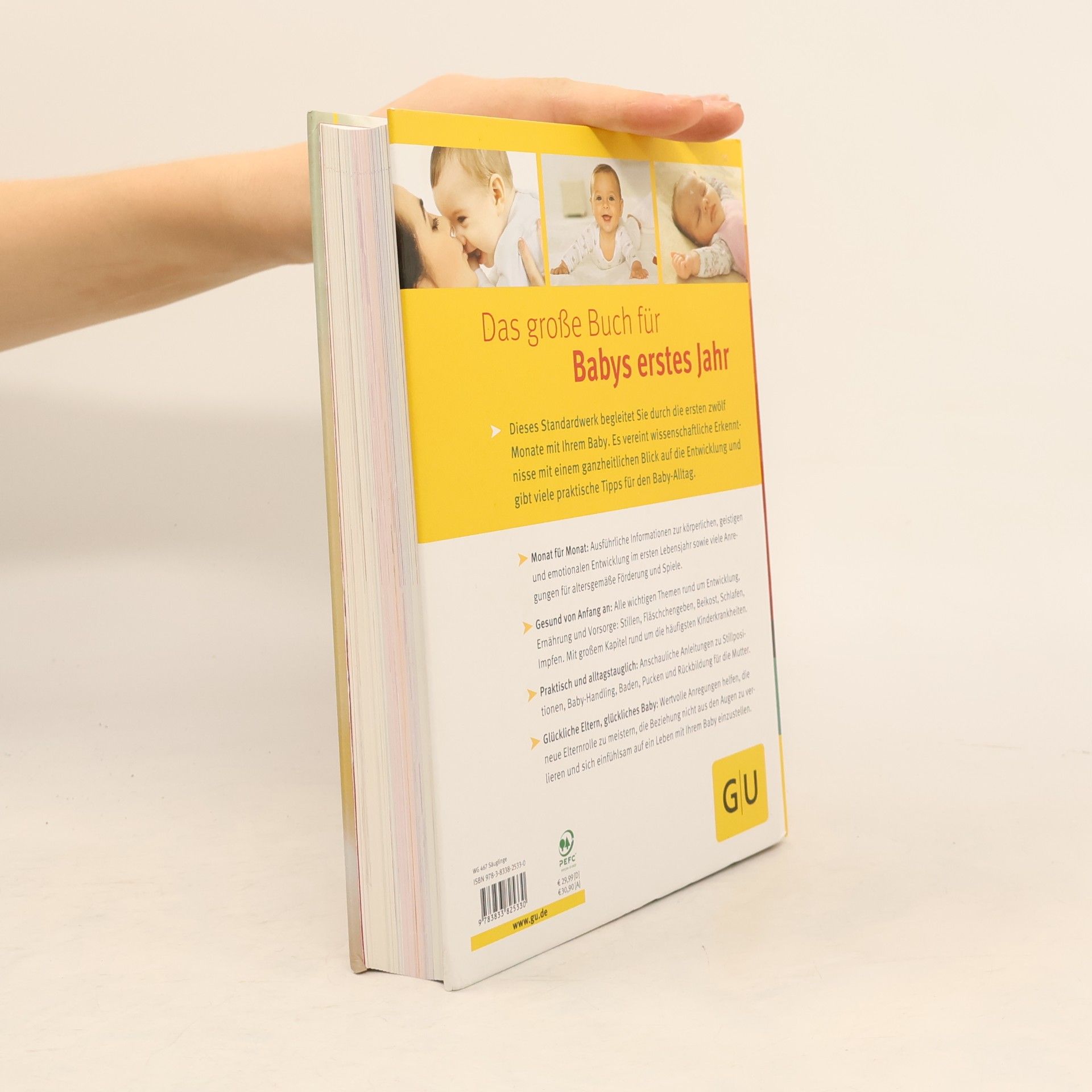 Stephan Nolte Das große Buch für Babys erstes Jahr