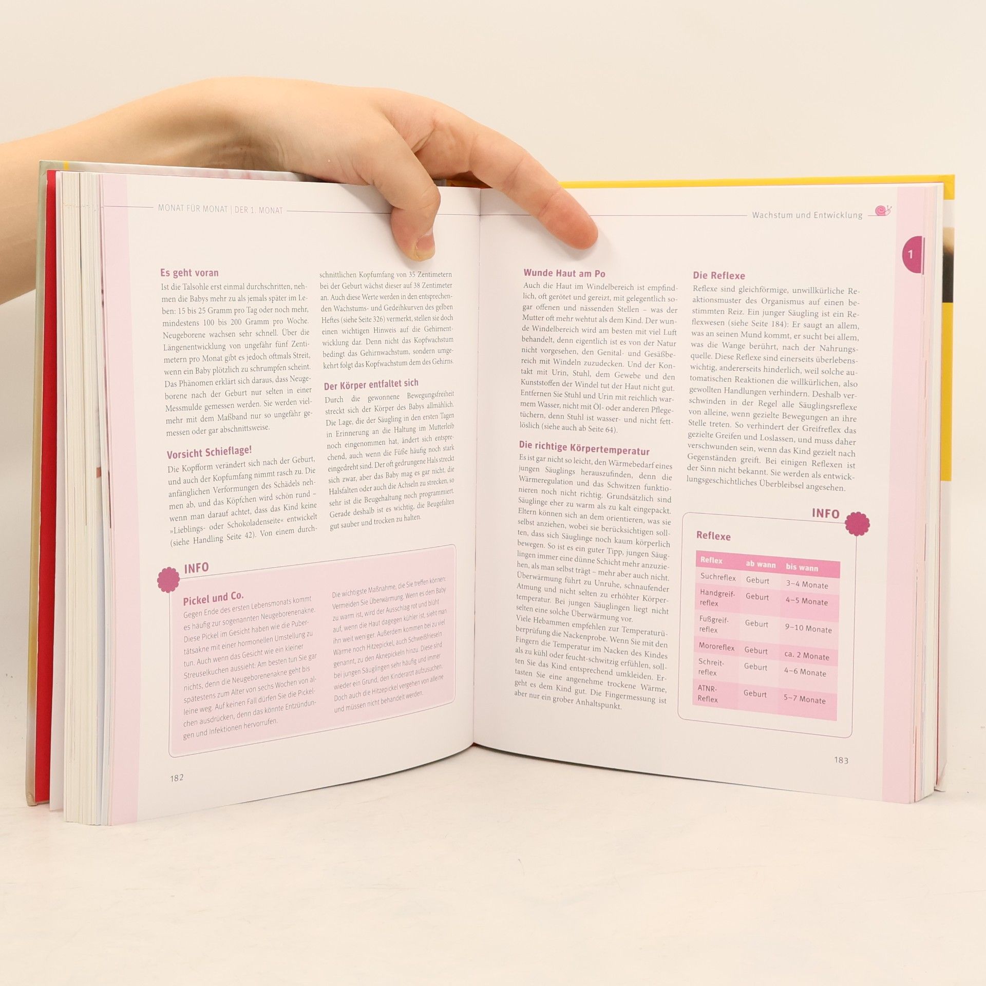 Stephan Nolte Das große Buch für Babys erstes Jahr