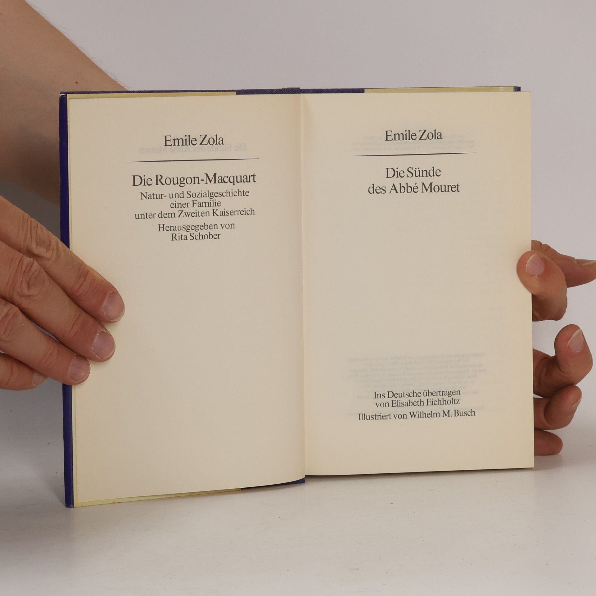 Émile Zola Die Sünde des abbé Mouret