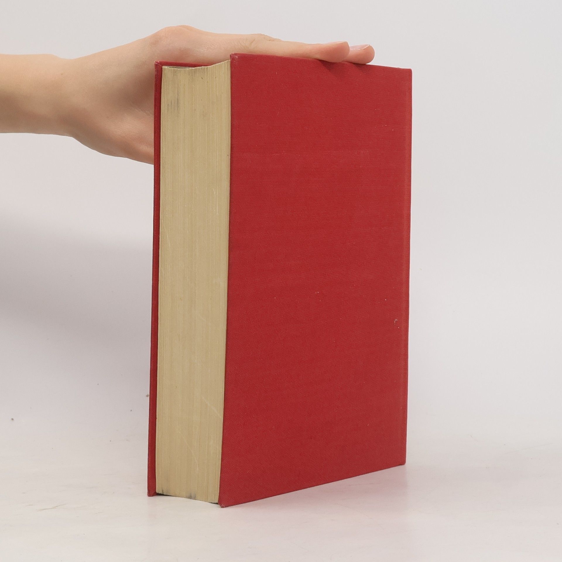 Alexandre Dumas der Ältere Die Königin Margot
