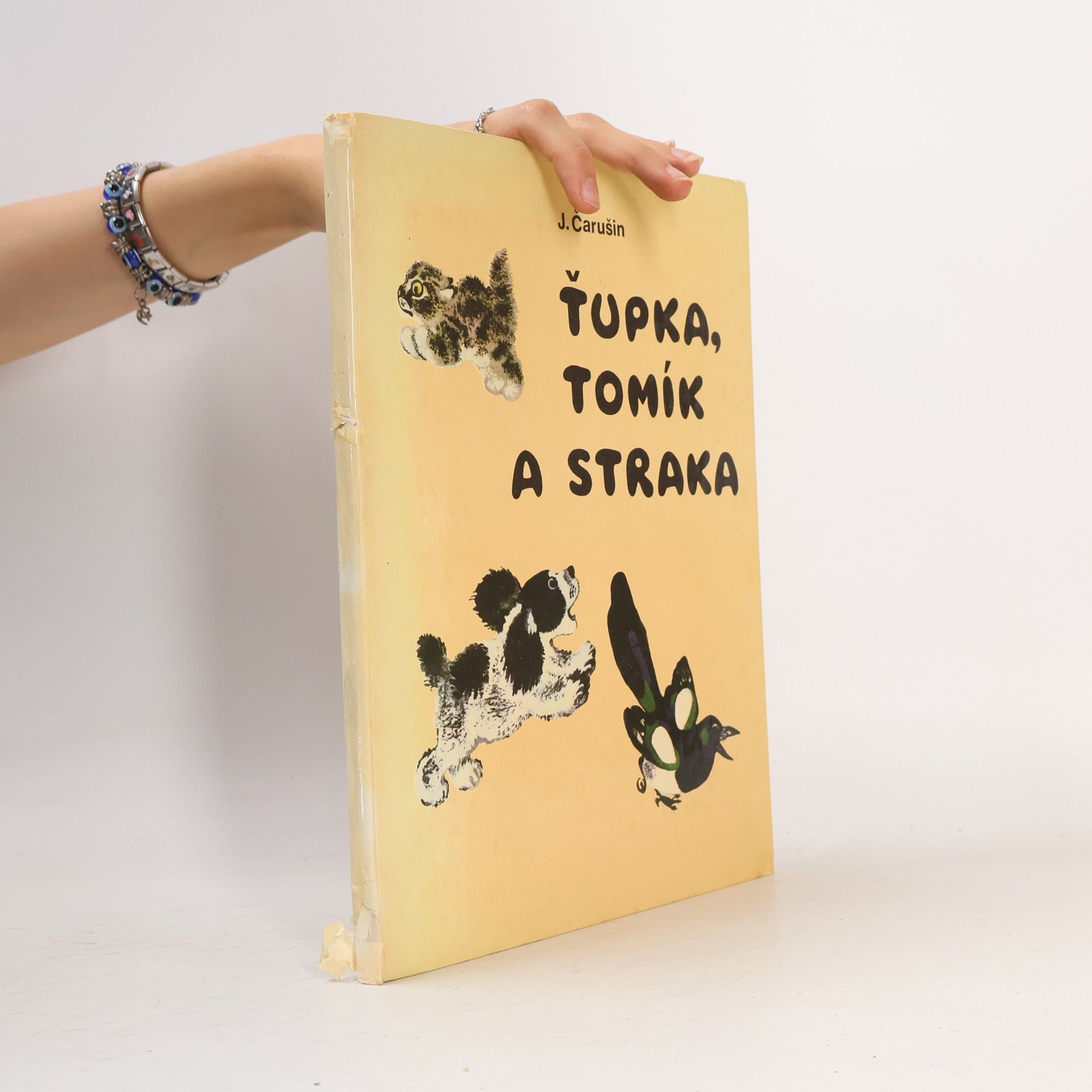 Ťupka, Tomík a straka