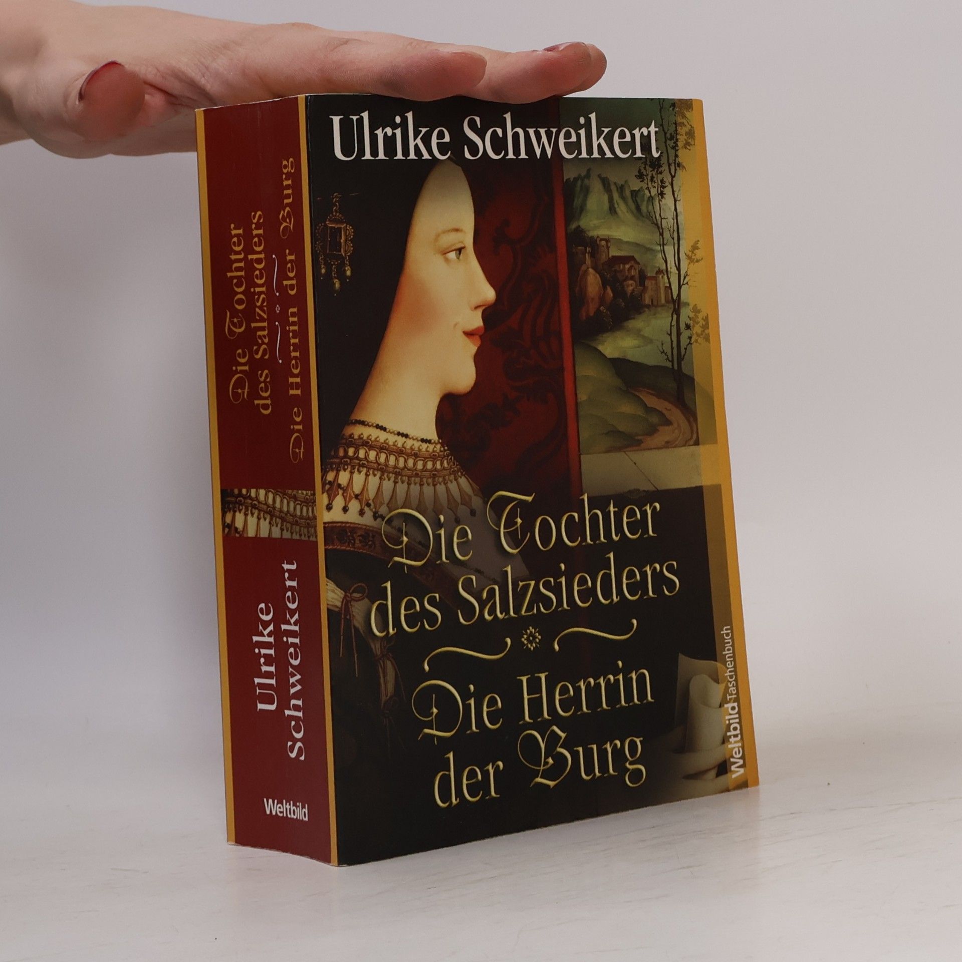 Ulrike Schweikert Die Tochter des Salzsieders