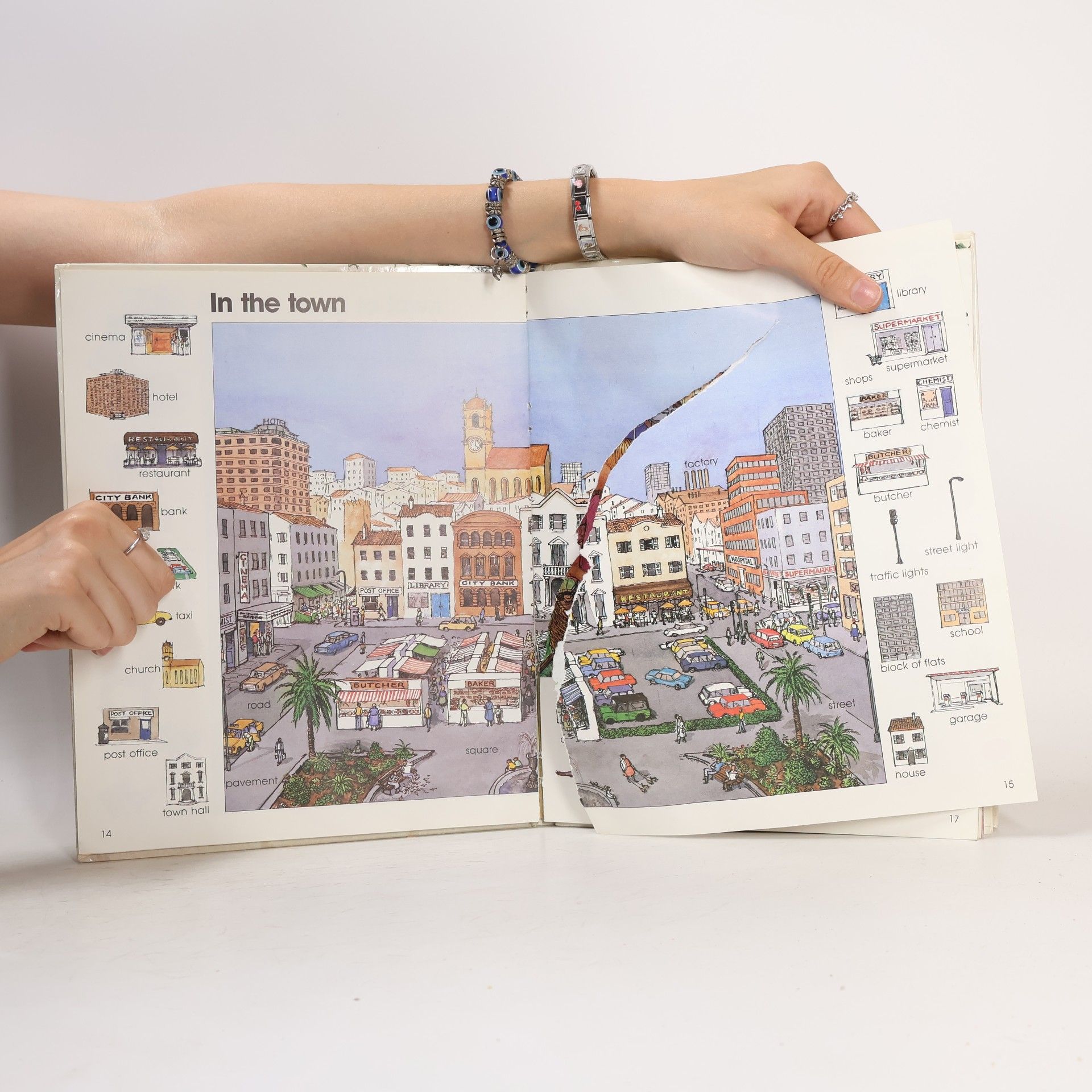 Brian Abbs Longman Picture Wordbook