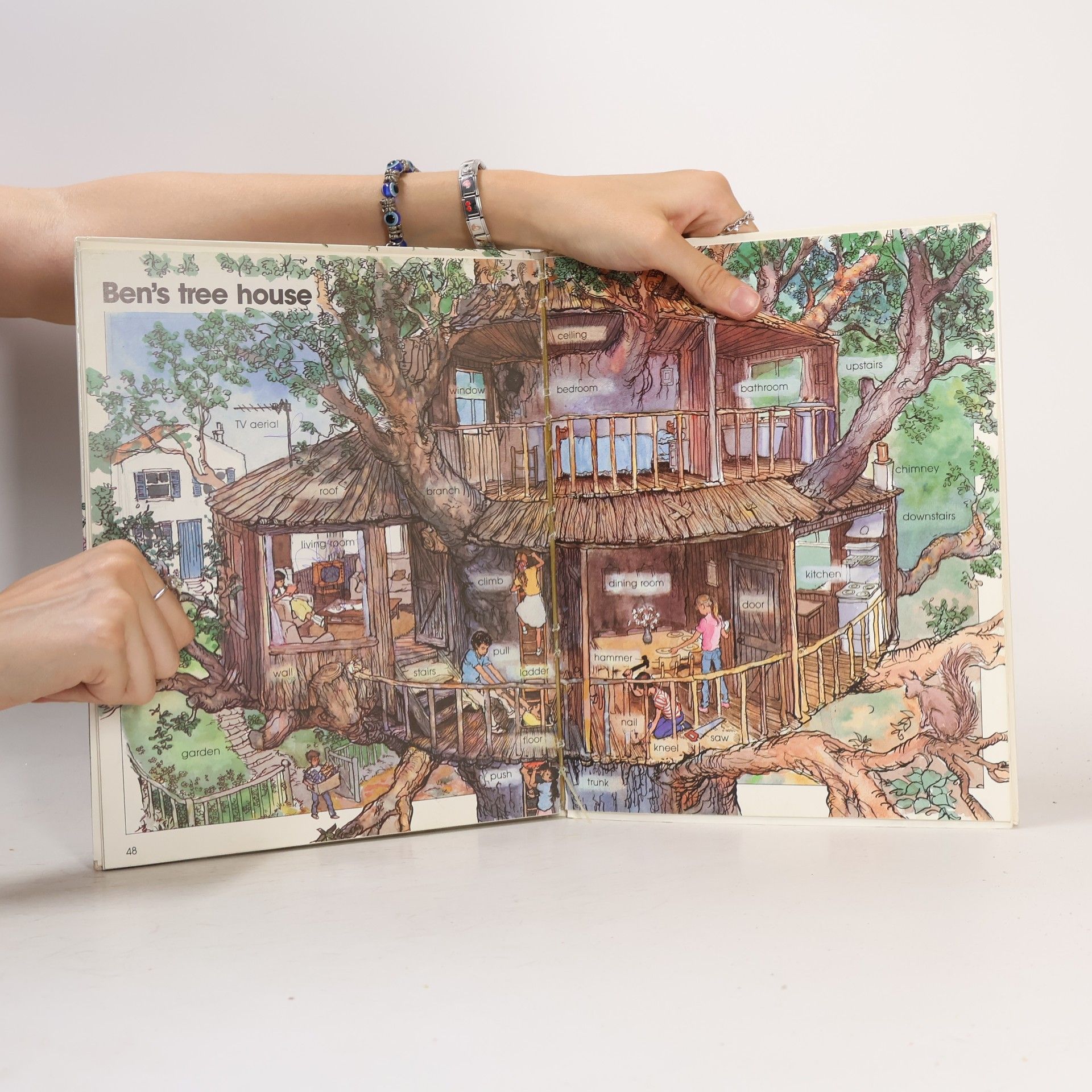 Brian Abbs Longman Picture Wordbook