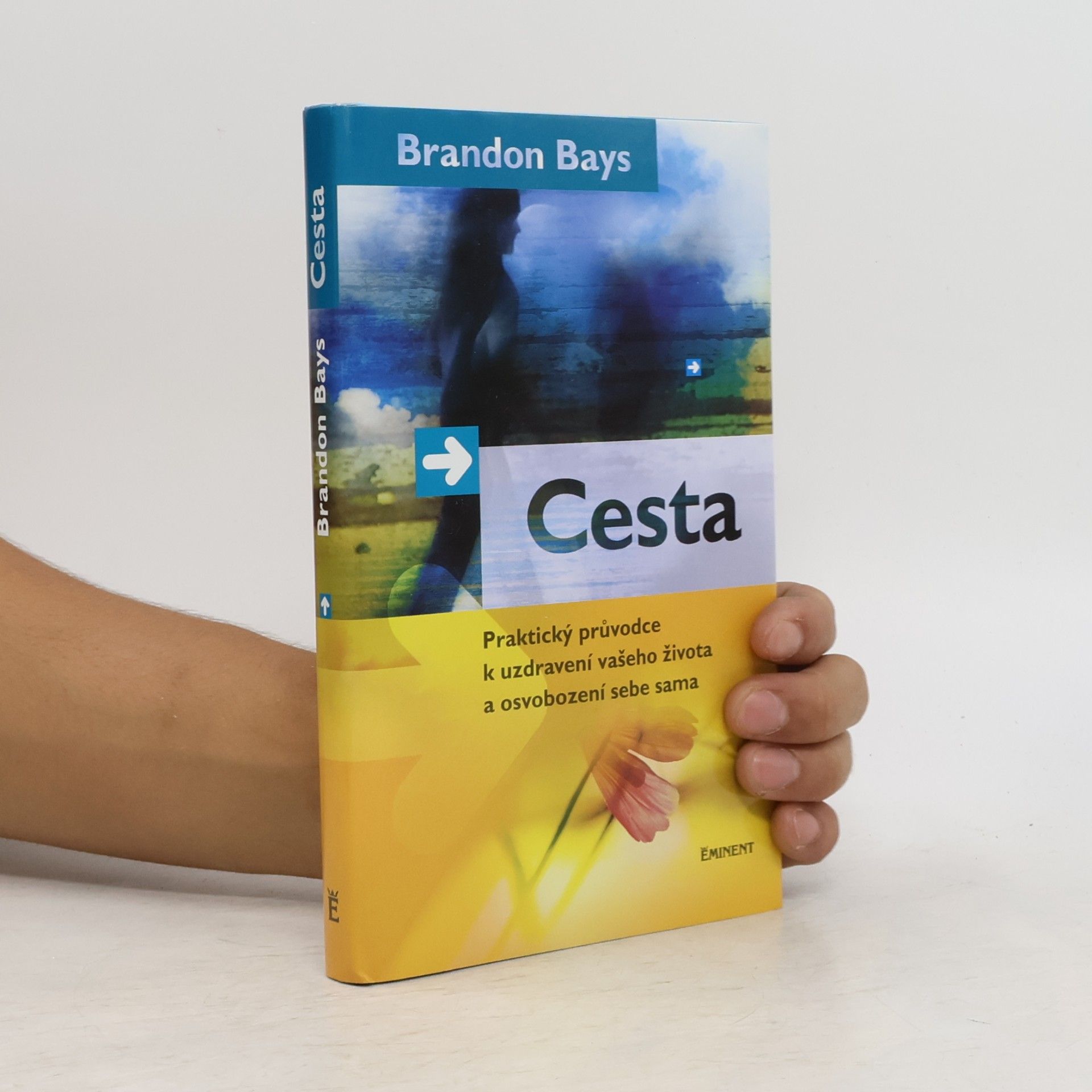 Brandon Bays Cesta