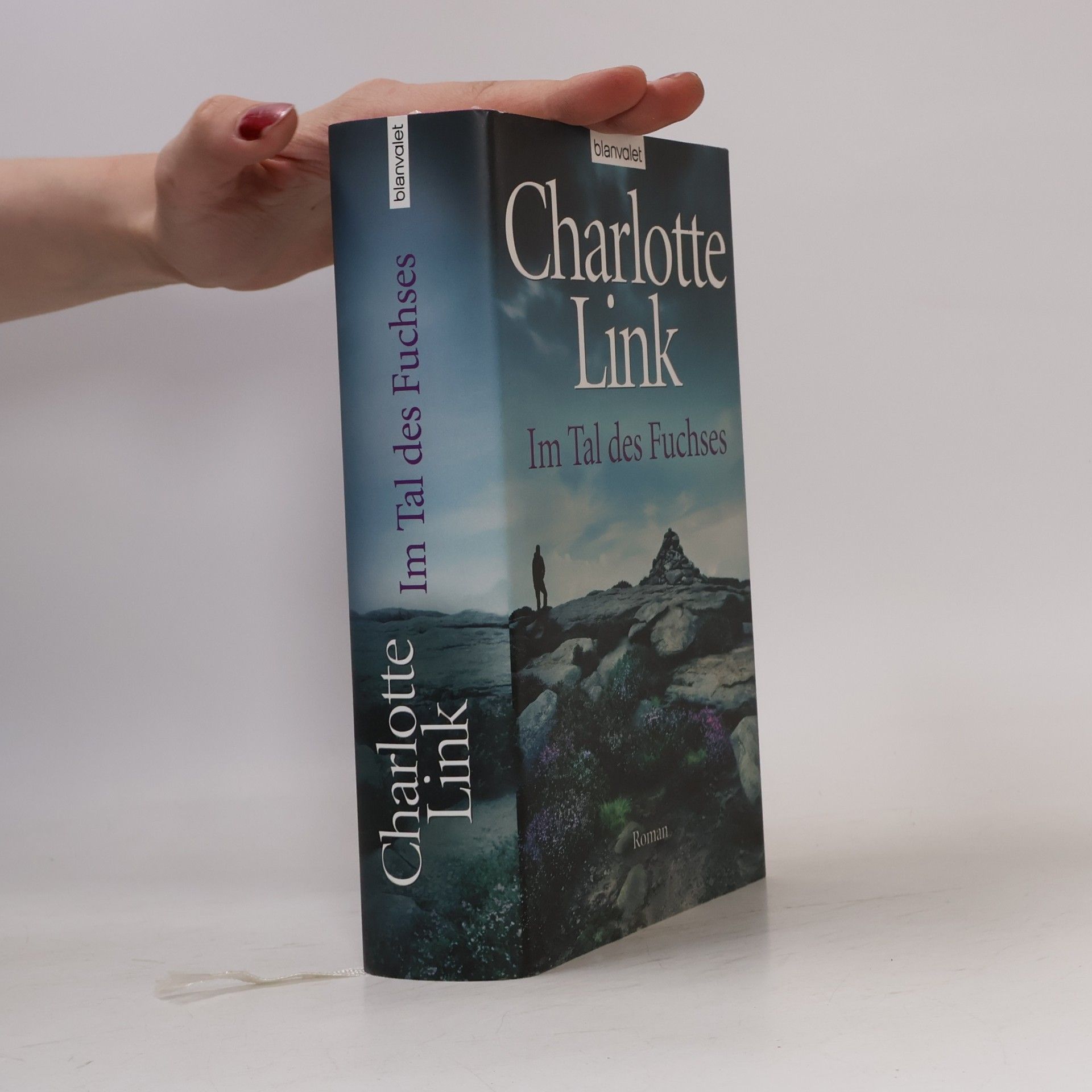 Charlotte Link Im Tal des Fuchses